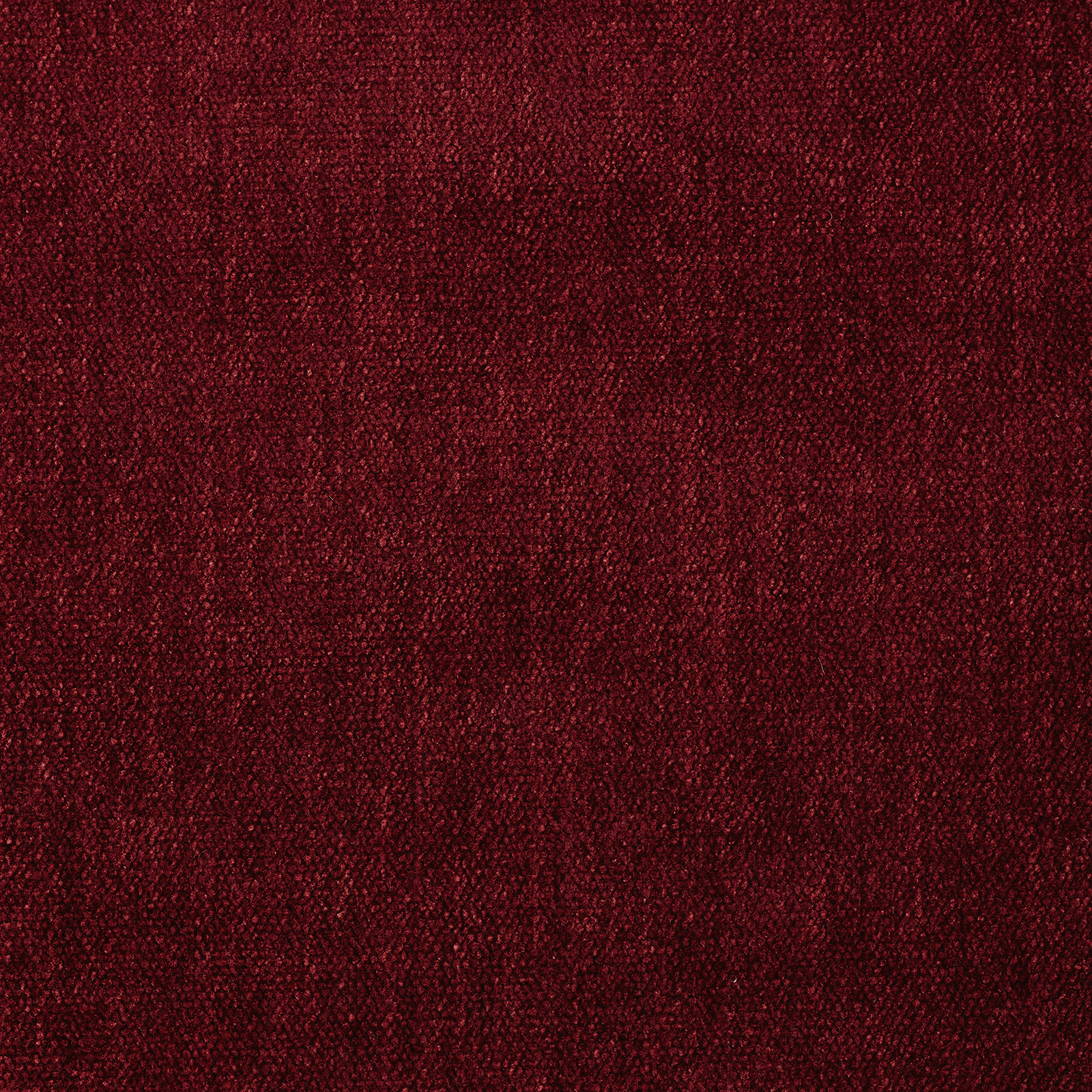 Soft - Image 6