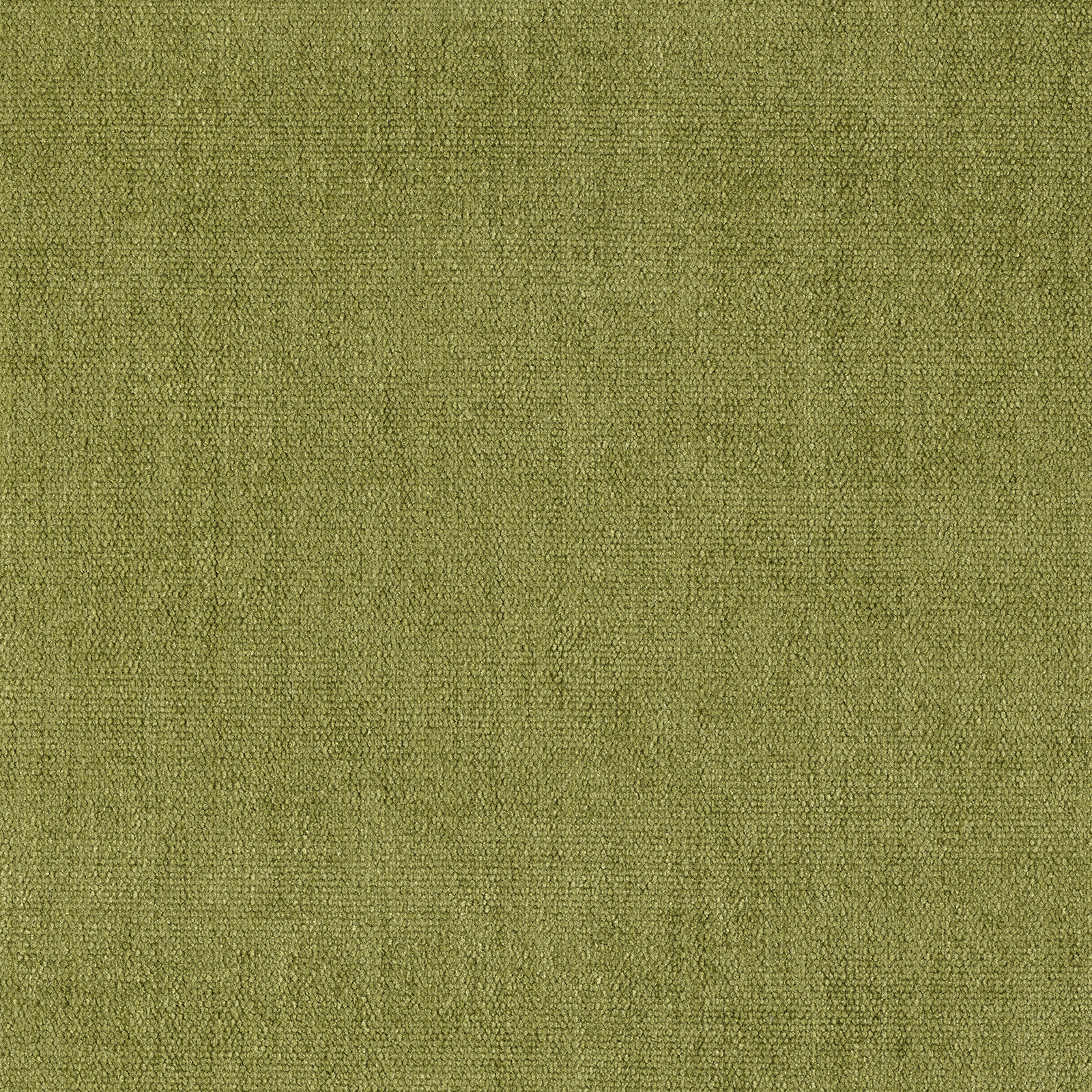 Soft - Image 11