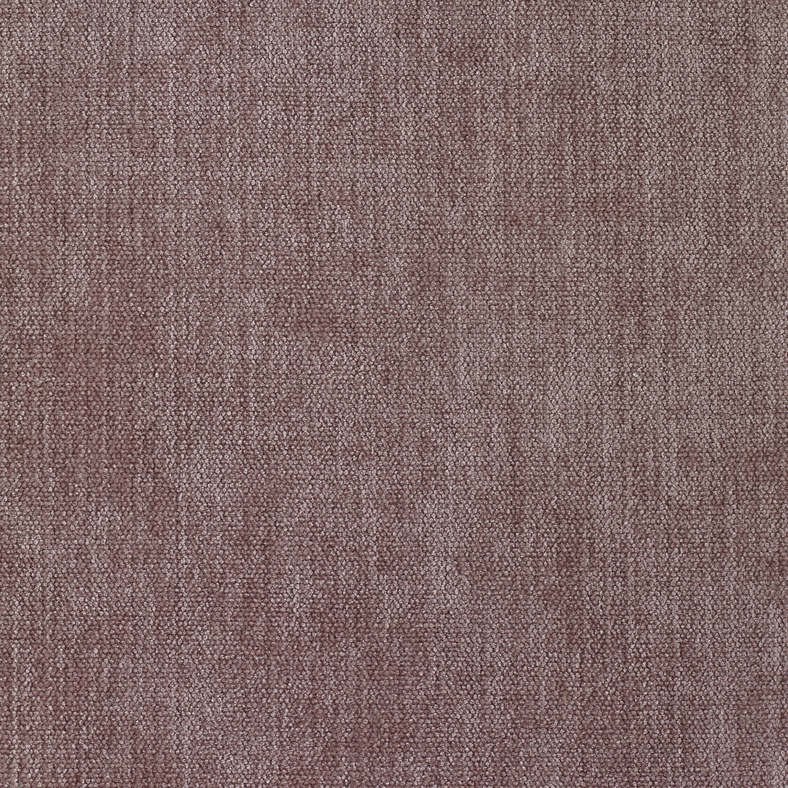 Soft - Image 13