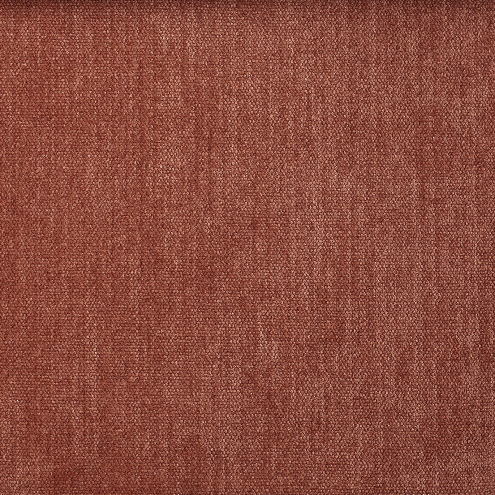 Soft - Image 14