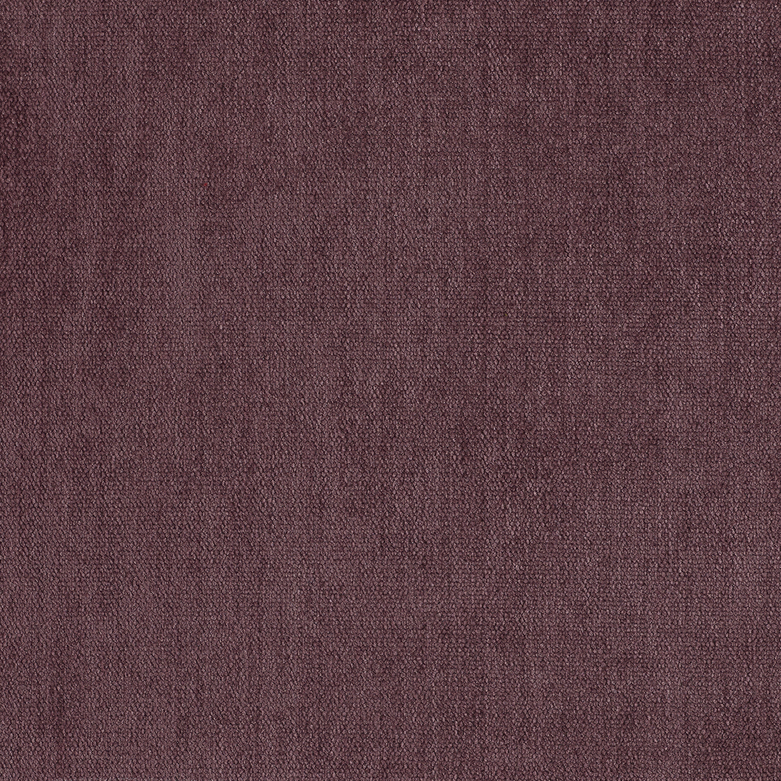 Soft - Image 19