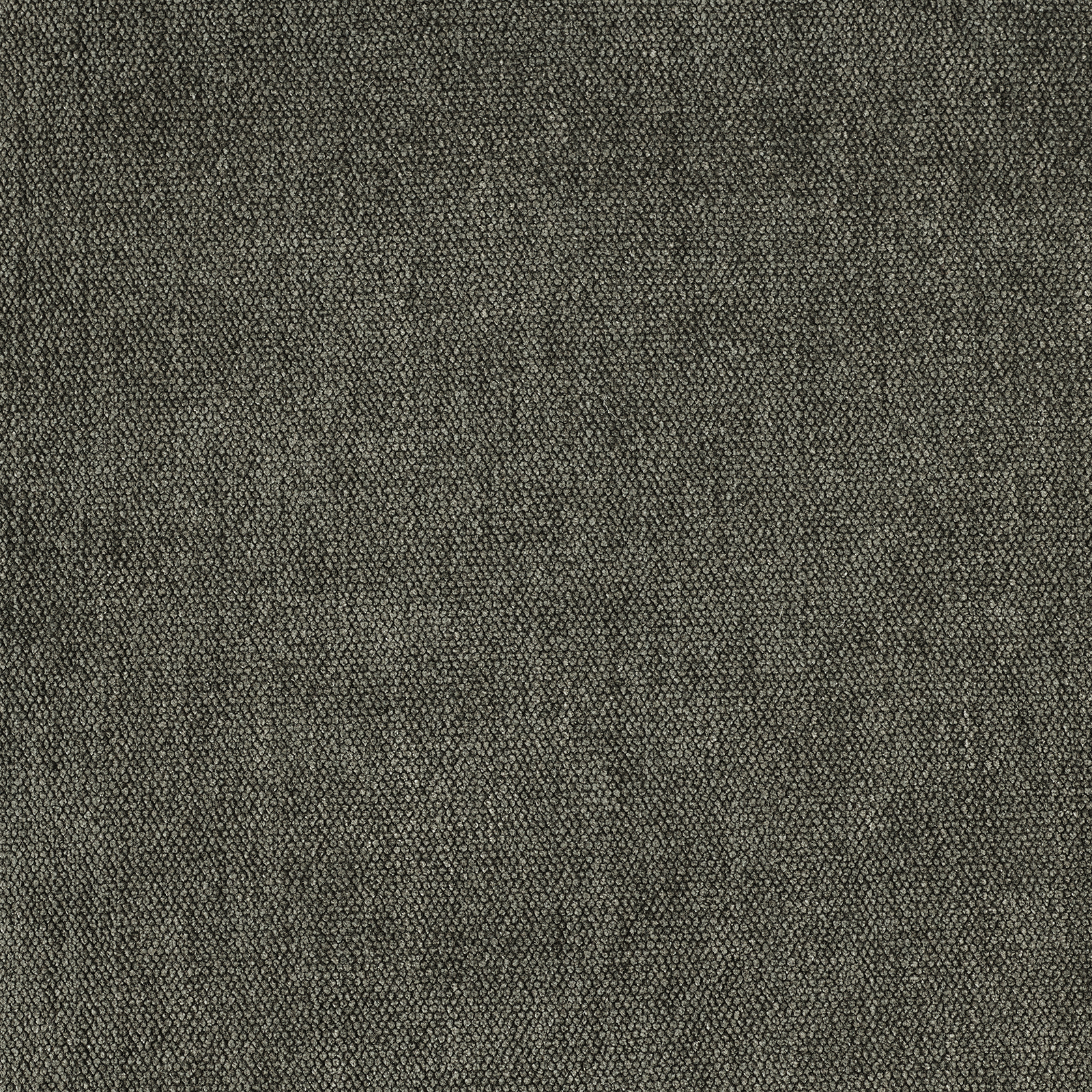 Soft - Image 21