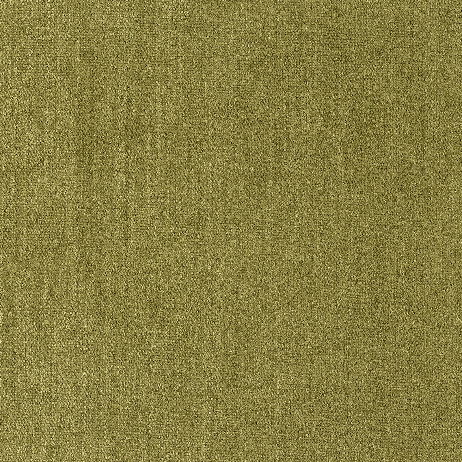 Soft - Image 23