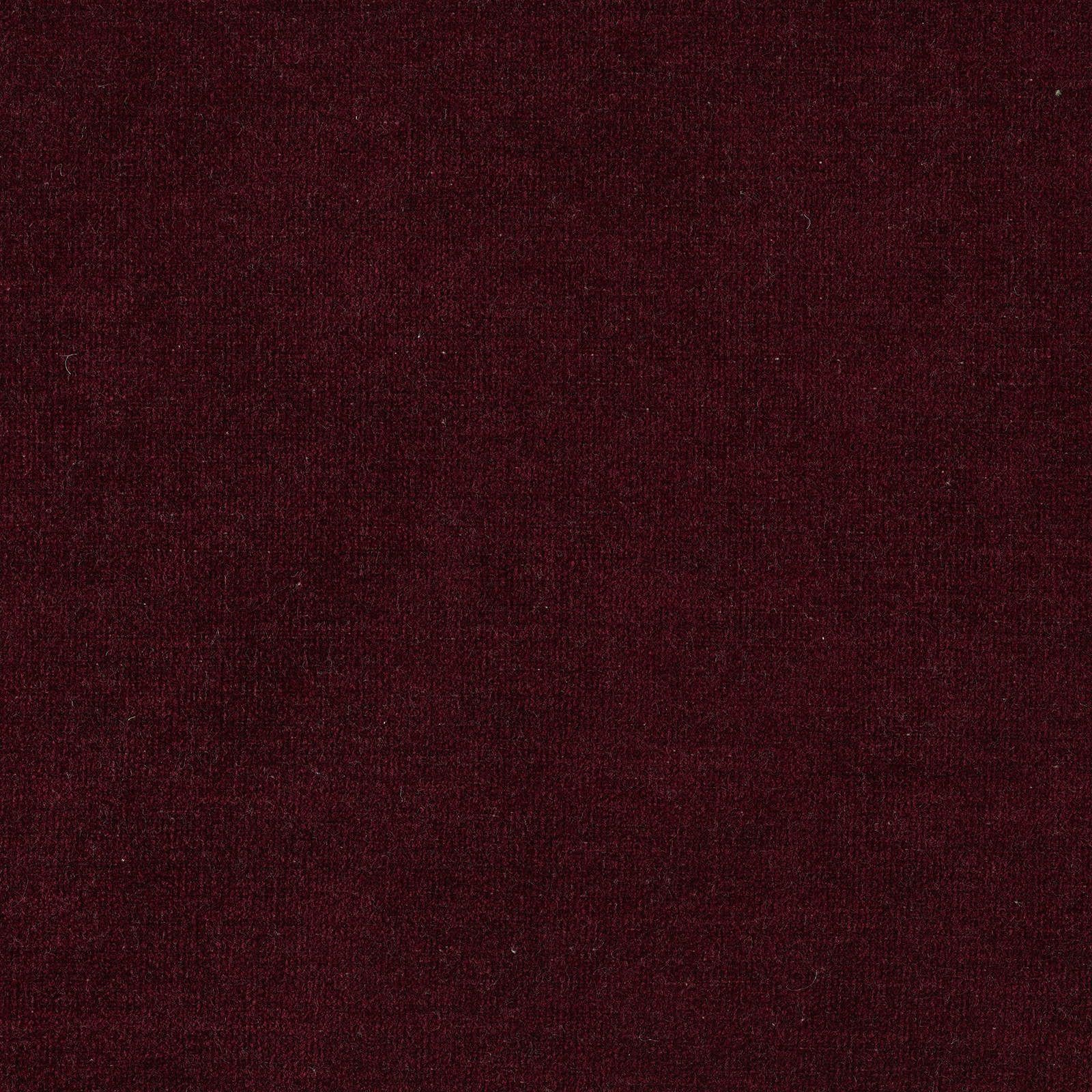 Soft - Image 27