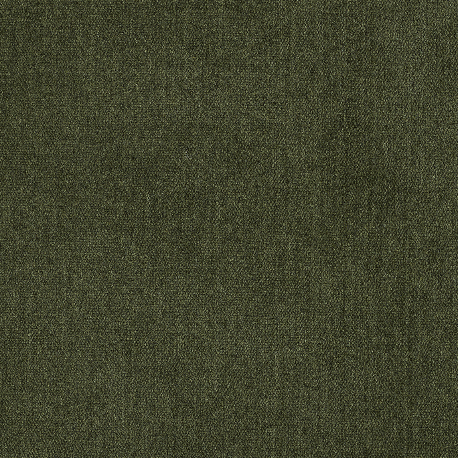 Soft - Image 28