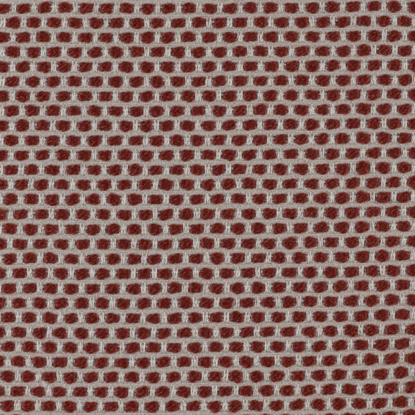 Spotty