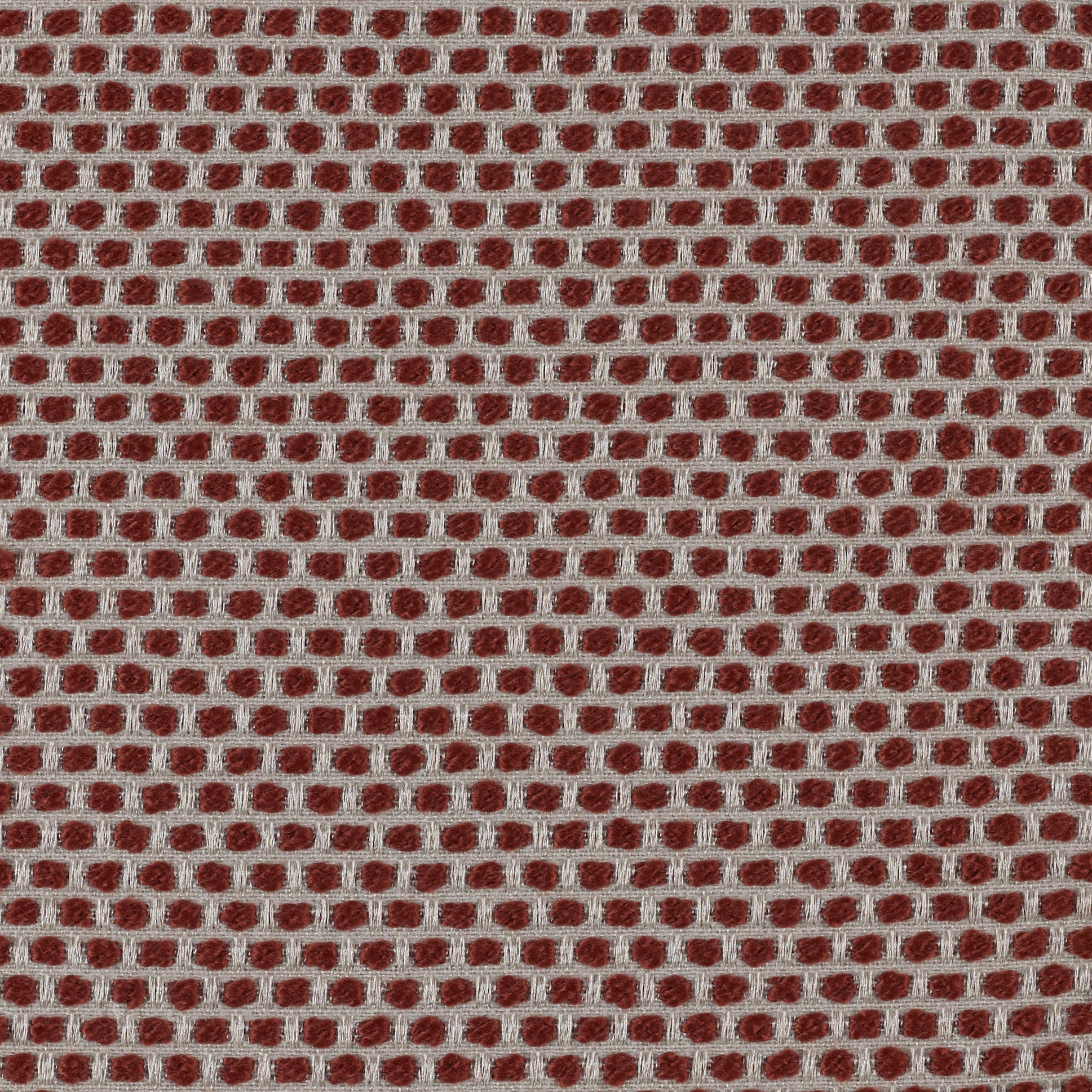 Spotty - Image 1