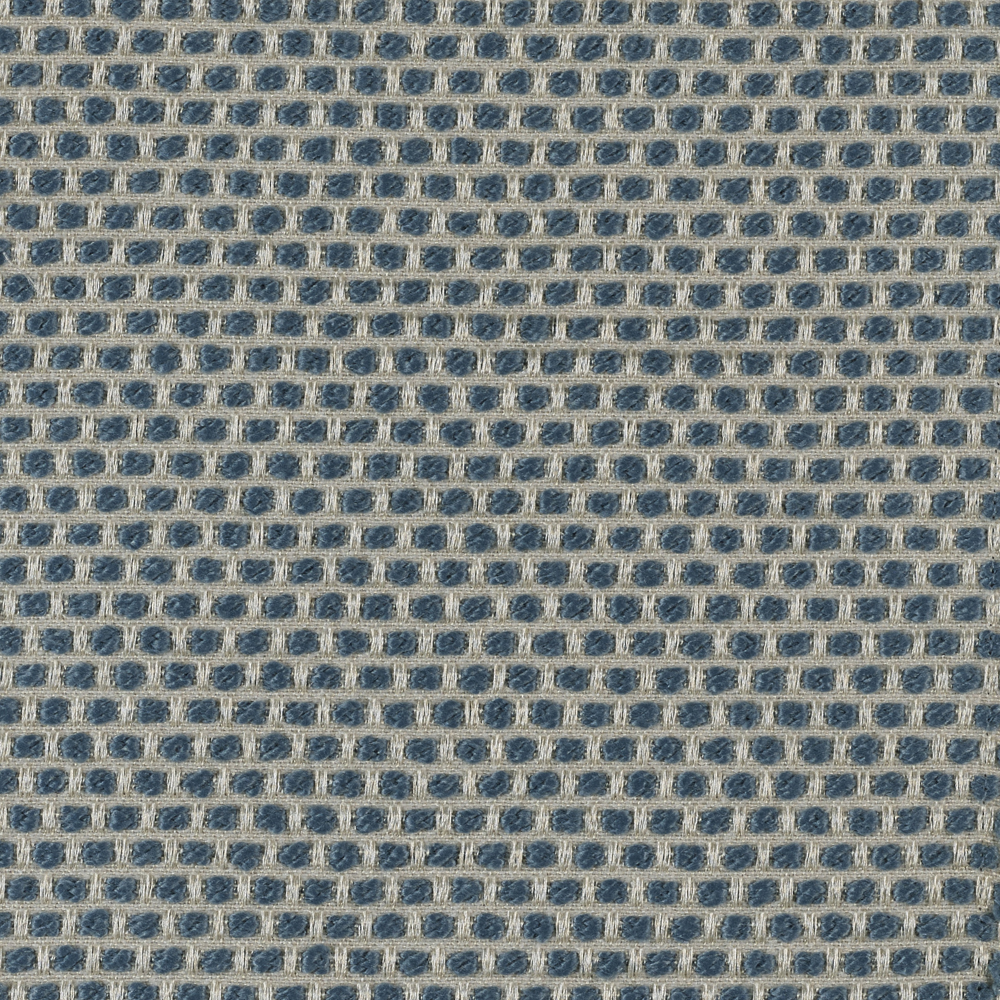 Spotty - Image 2