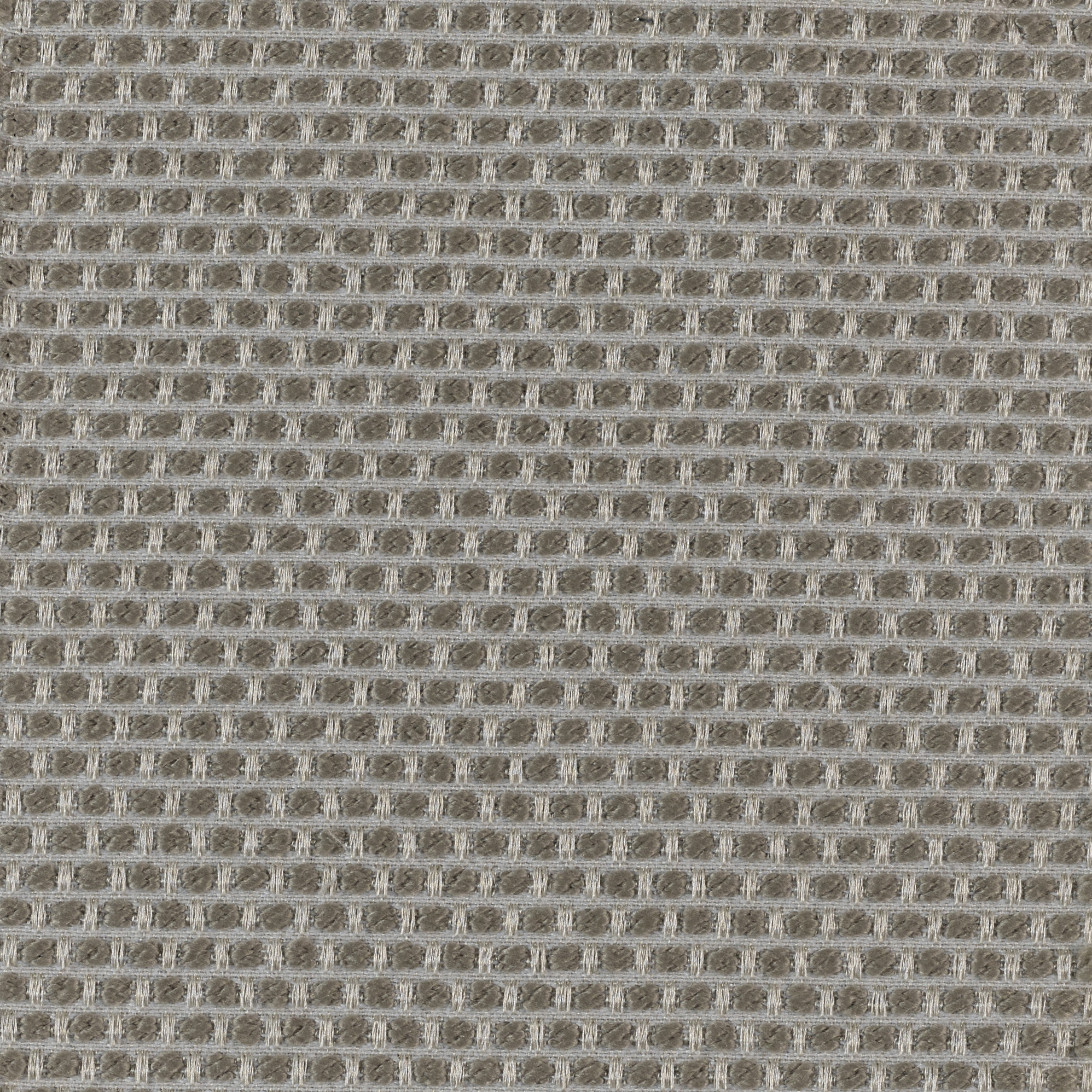 Spotty - Image 3