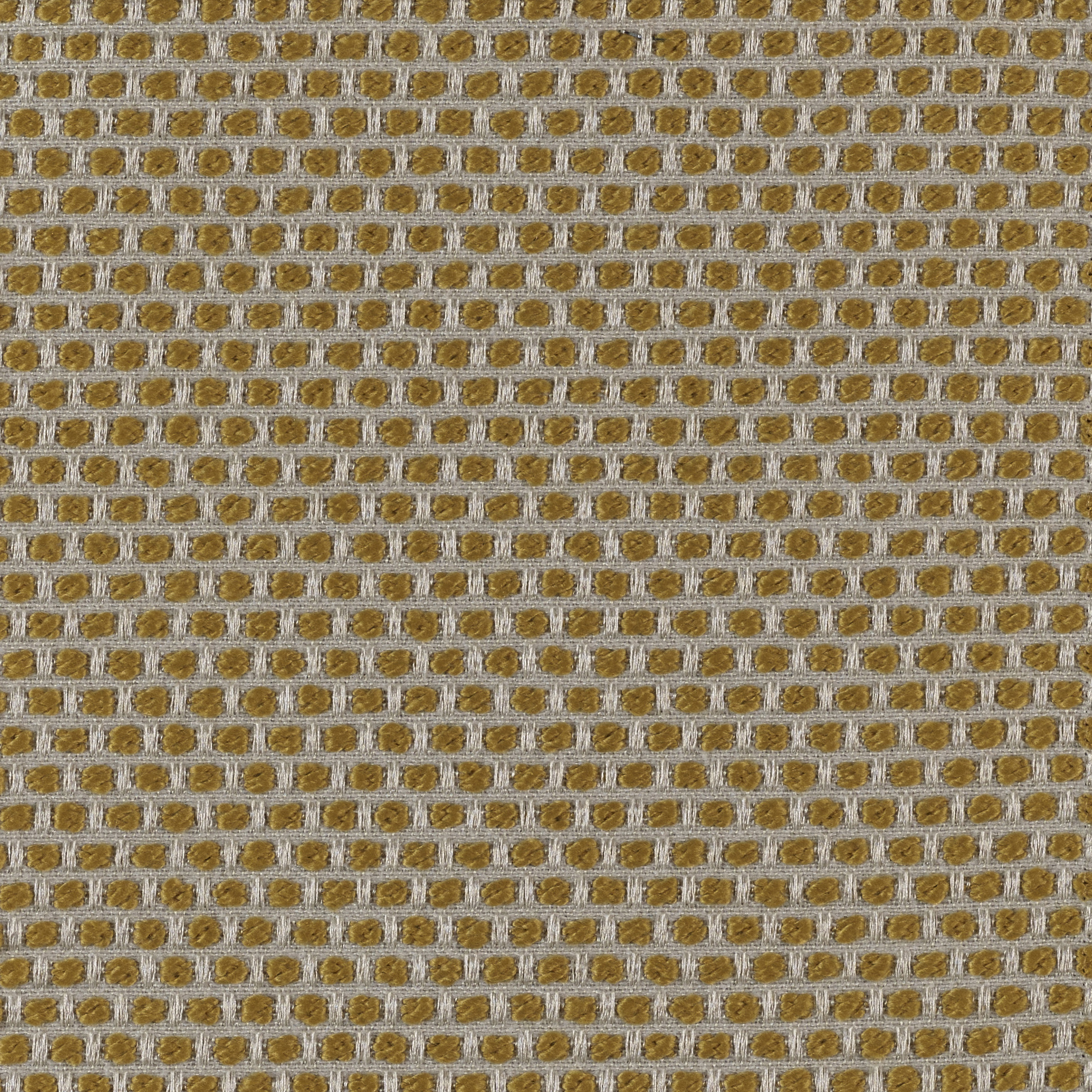 Spotty - Image 4