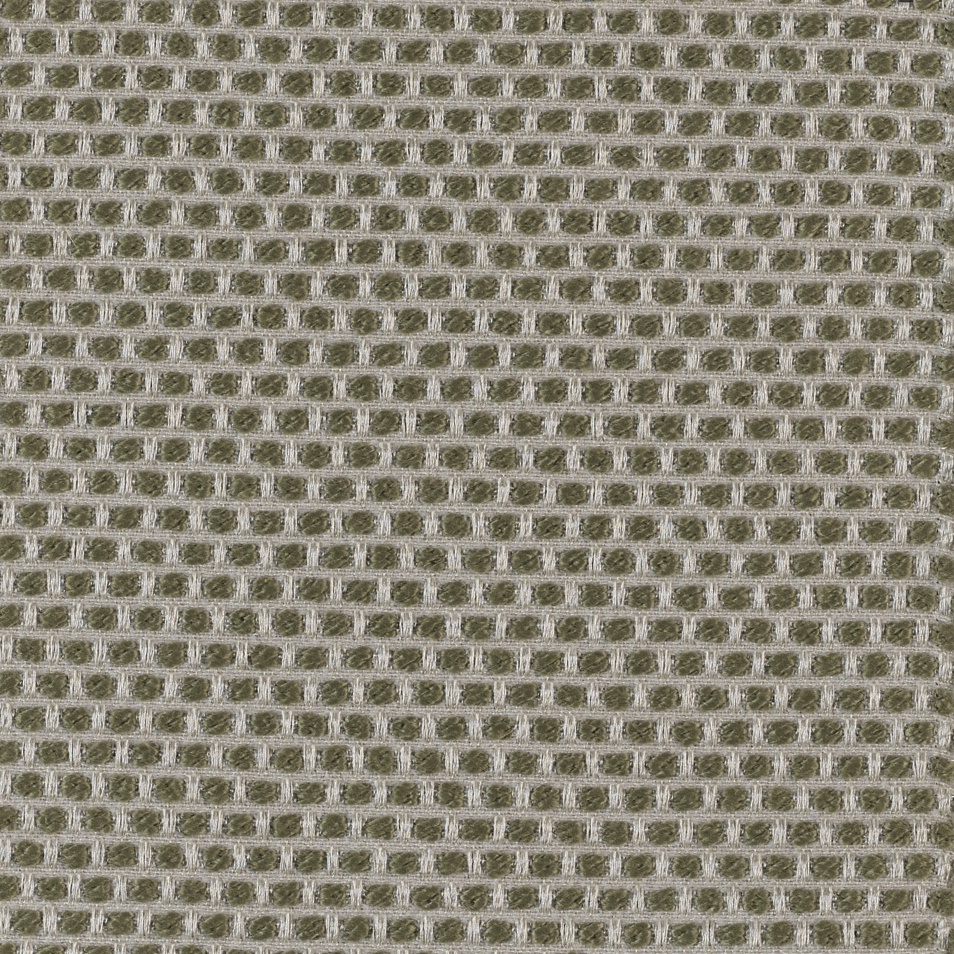 Spotty - Image 5