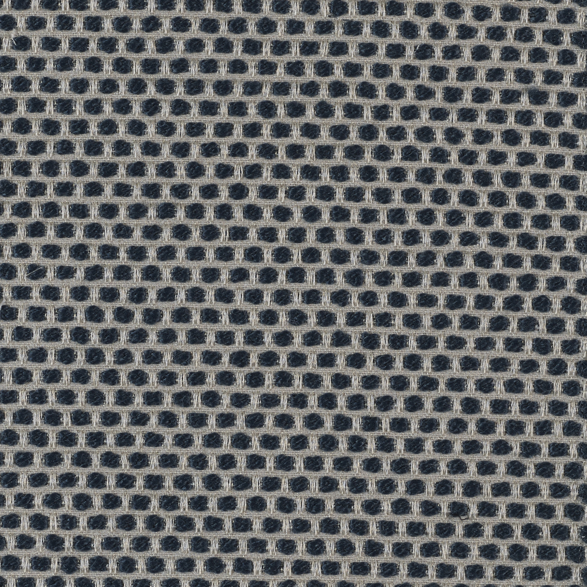 Spotty - Image 6
