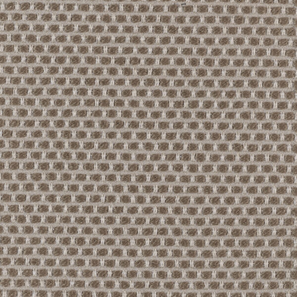 Spotty