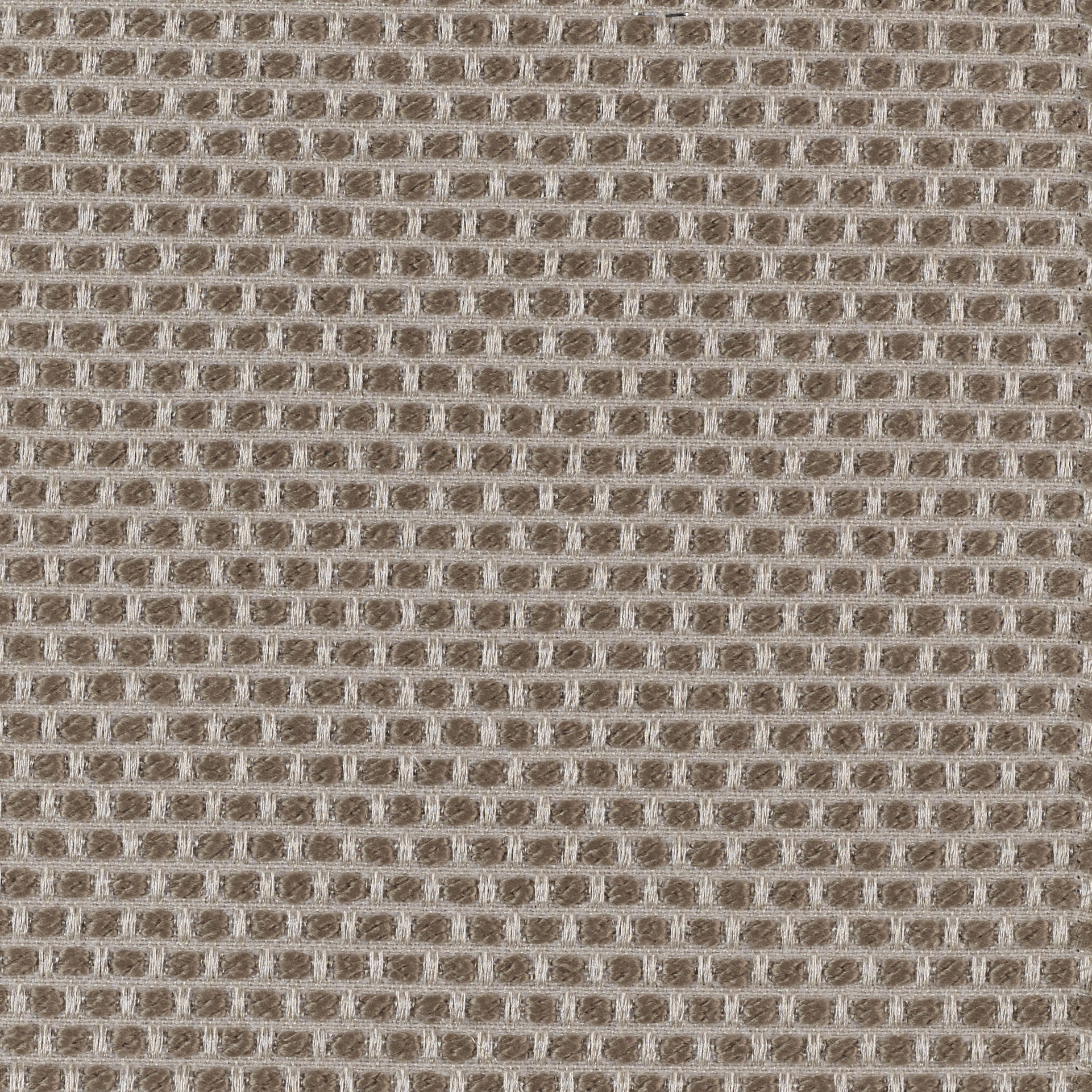 Spotty - Image 7