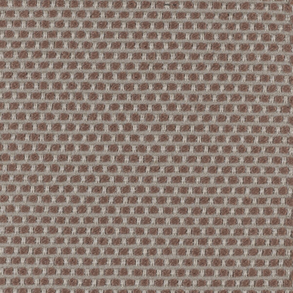 Spotty