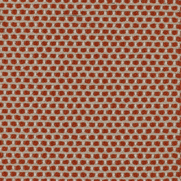 Spotty