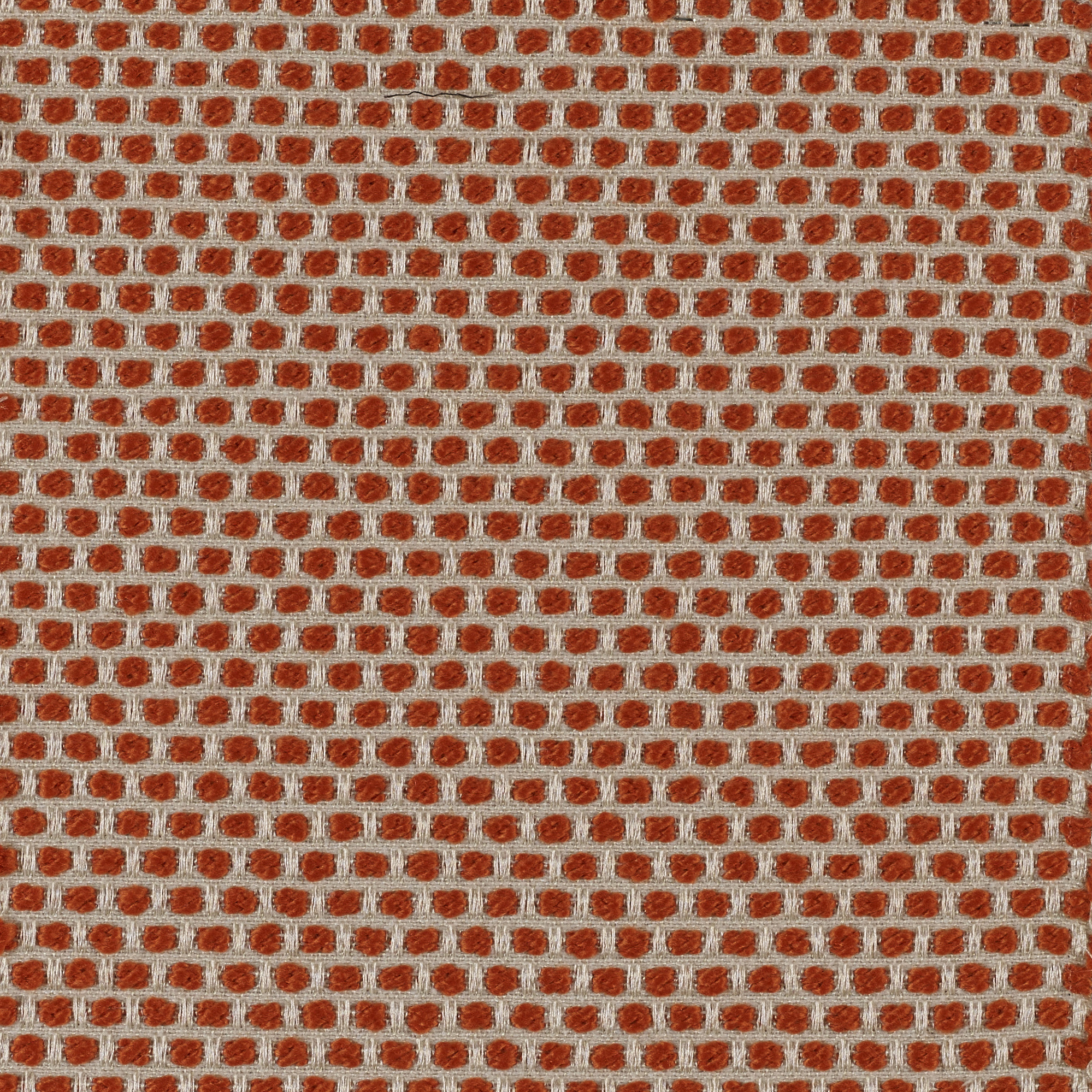 Spotty - Image 9