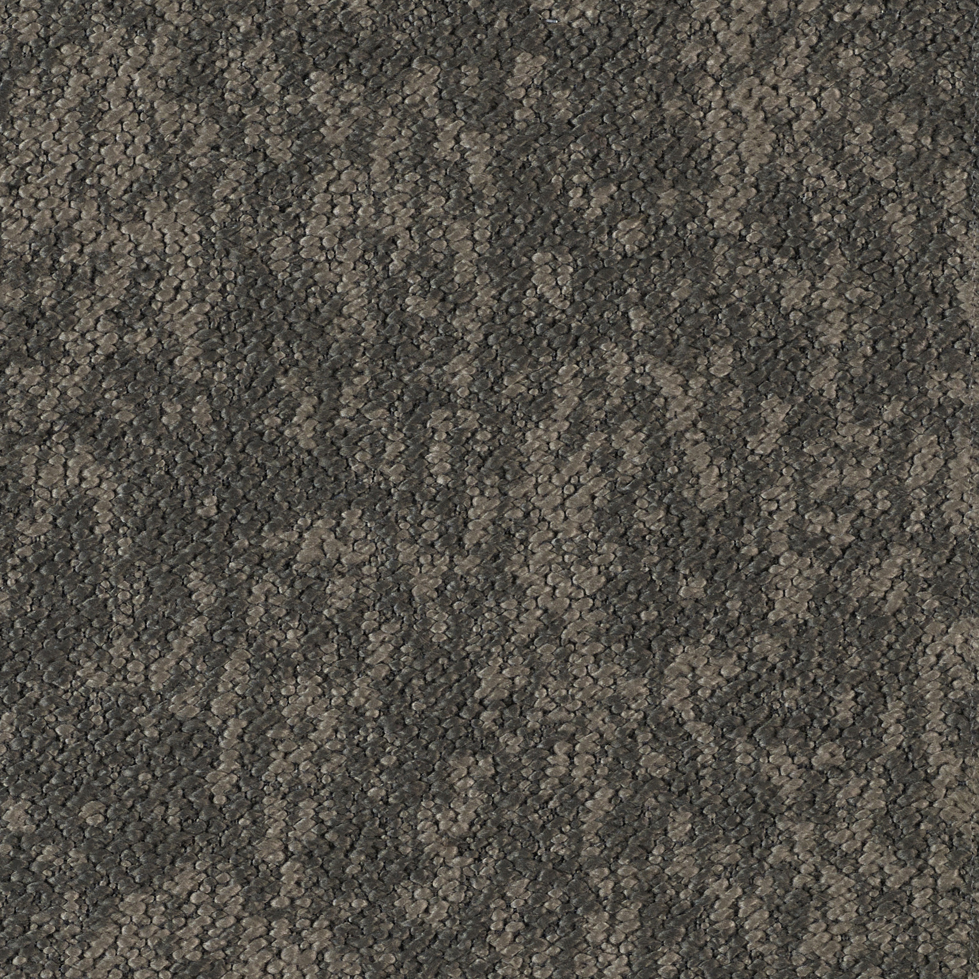 Woody - Image 3