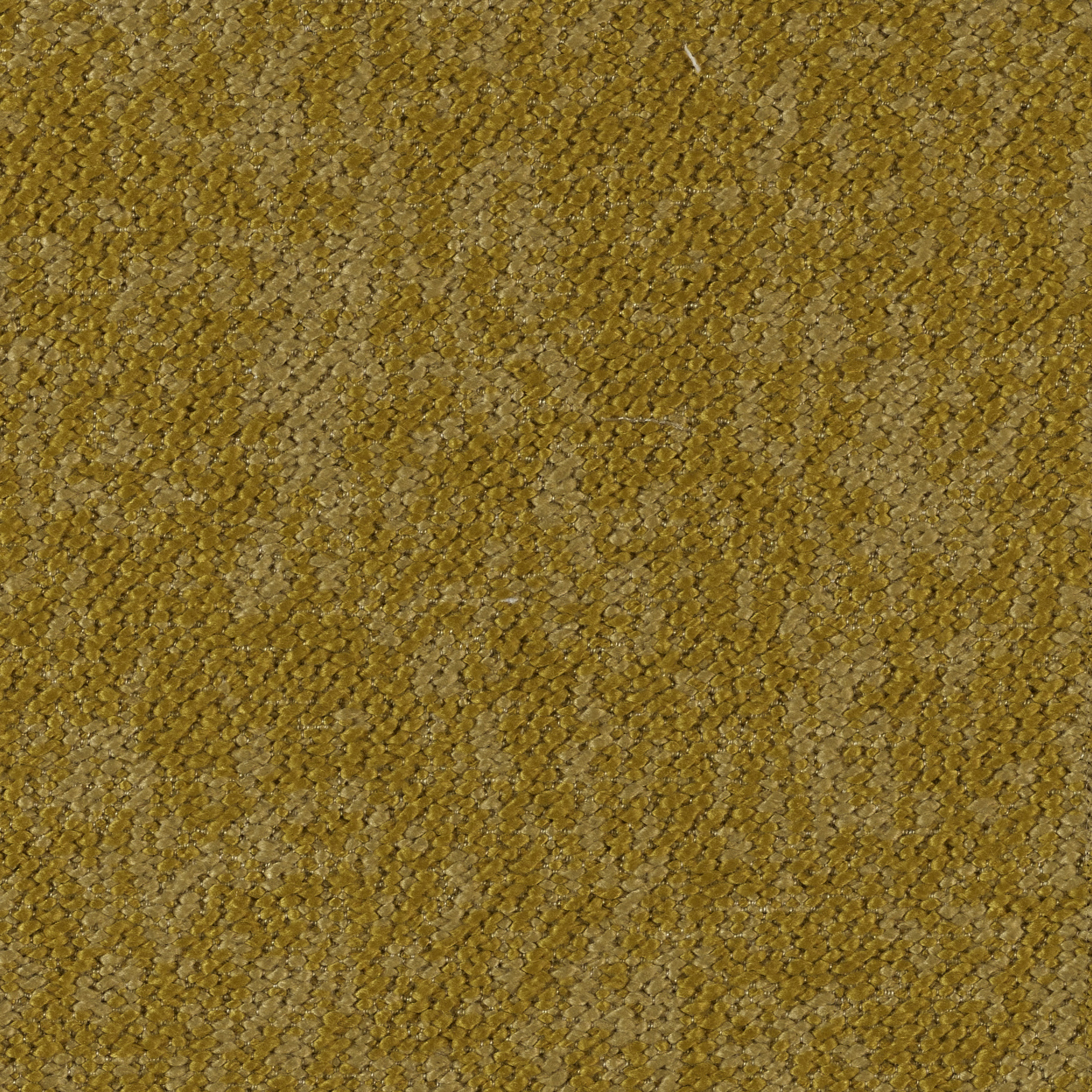 Woody - Image 5