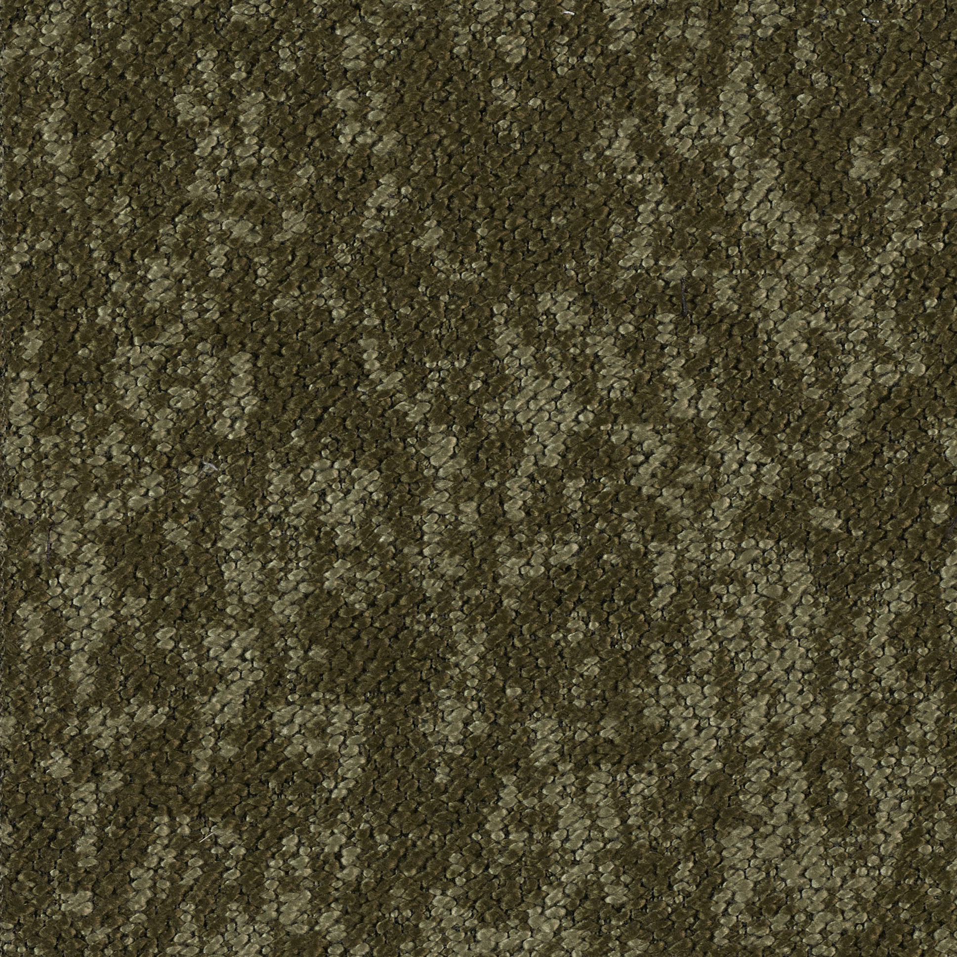 Woody - Image 6