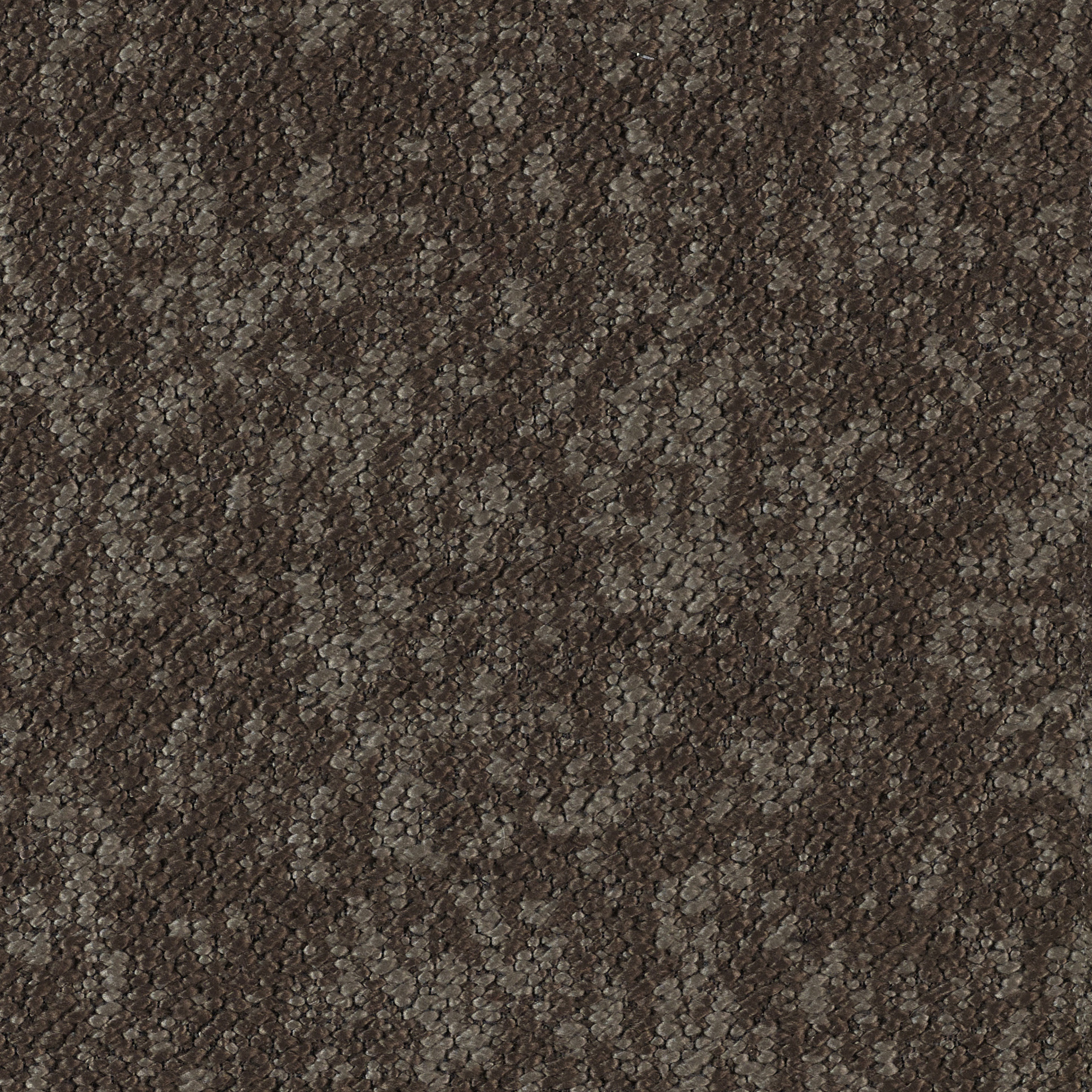 Woody - Image 8