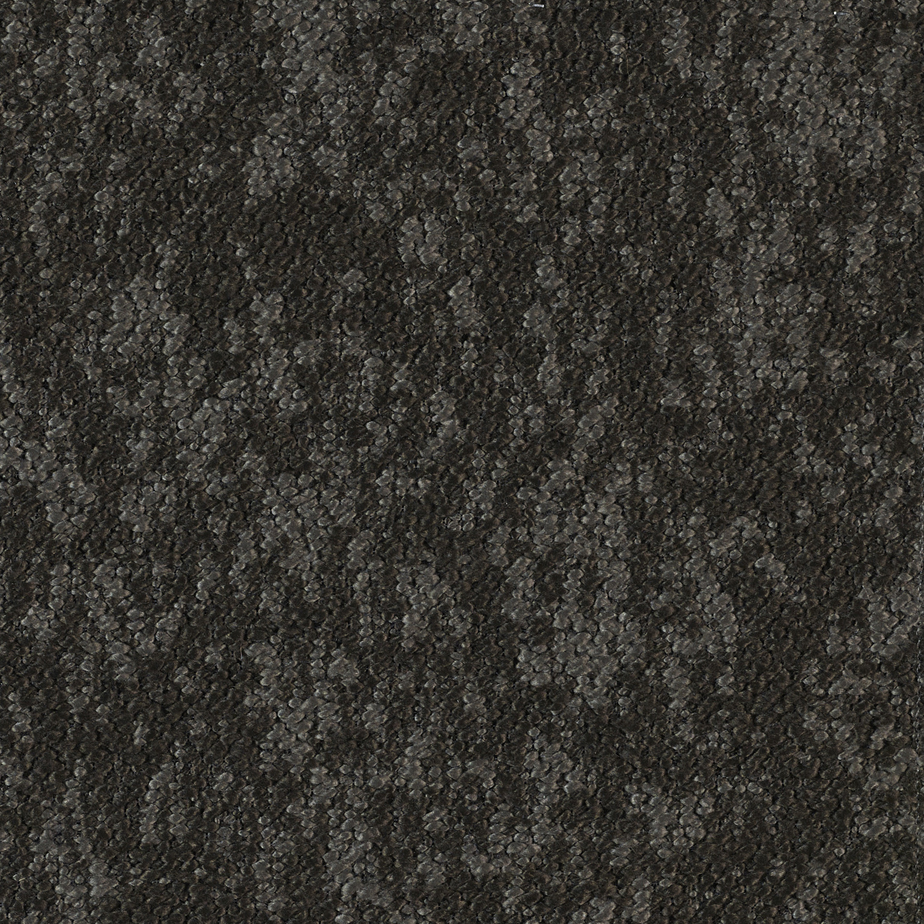 Woody - Image 10