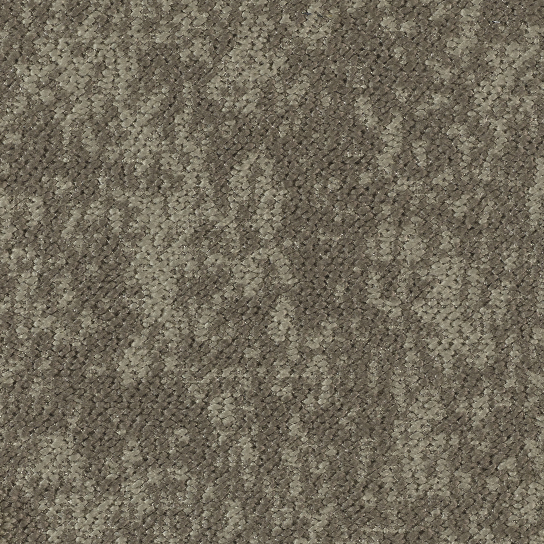 Woody - Image 11