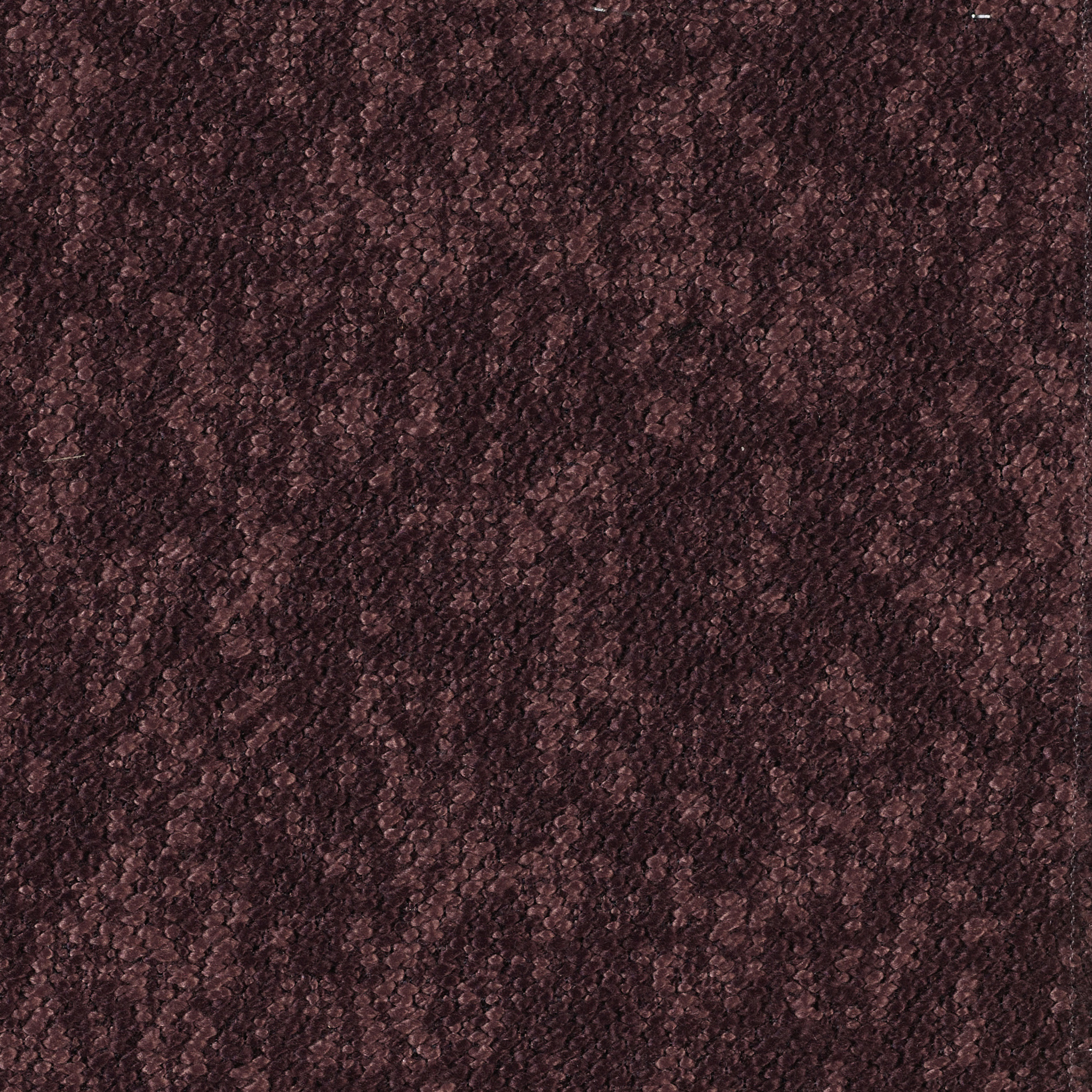 Woody - Image 12