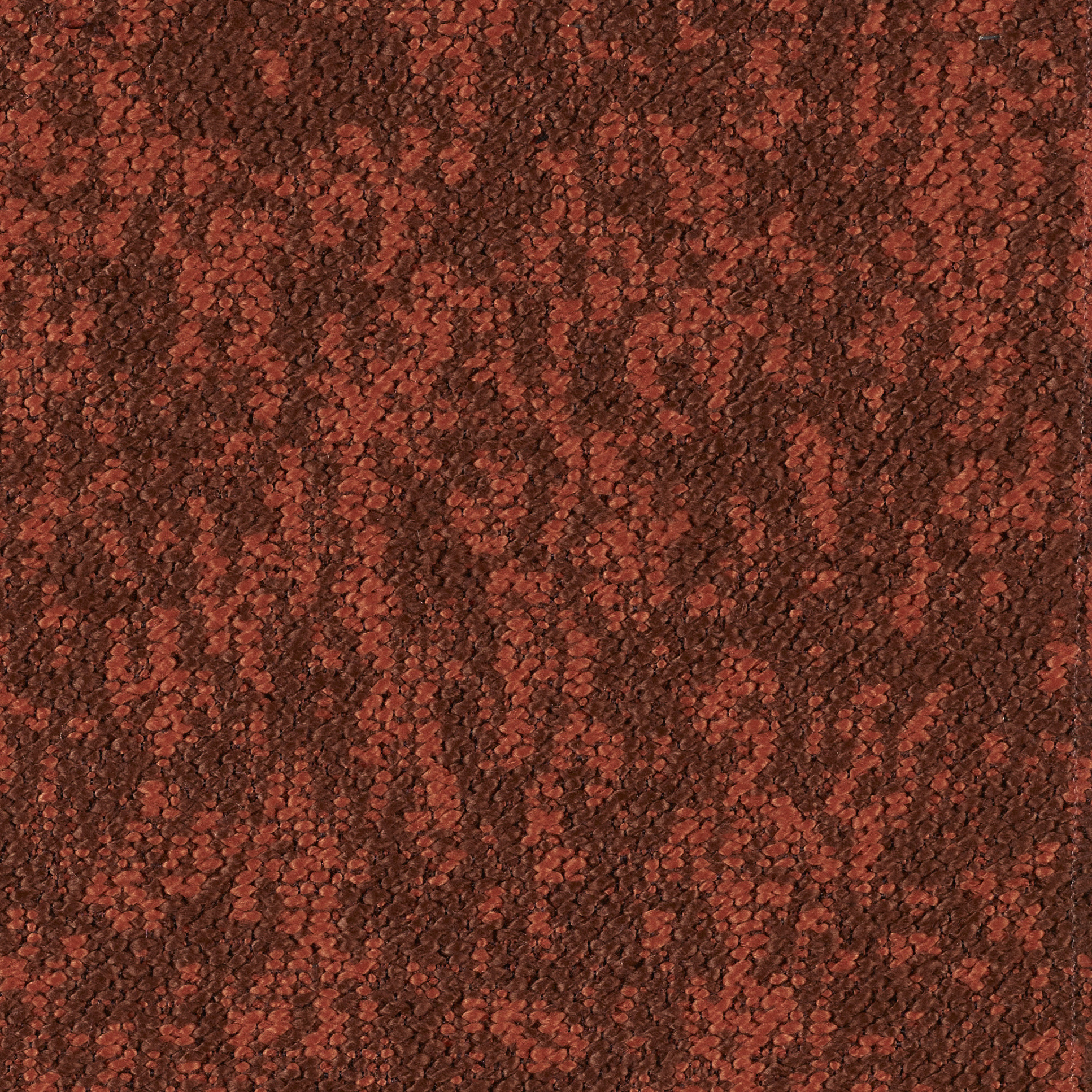 Woody - Image 13