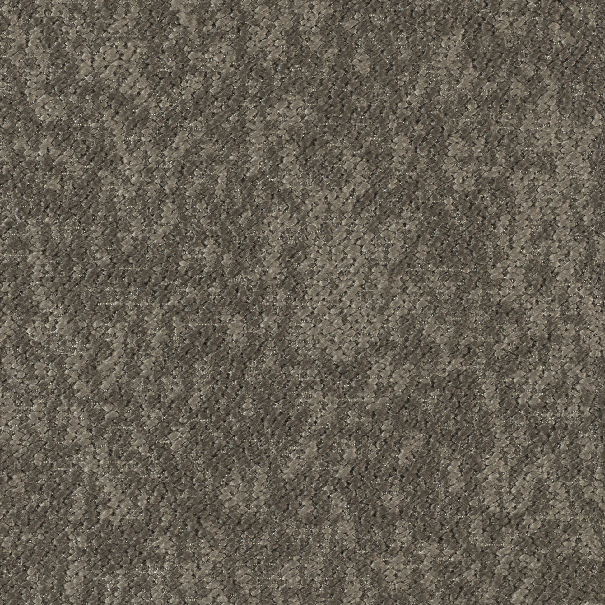 Woody - Image 15