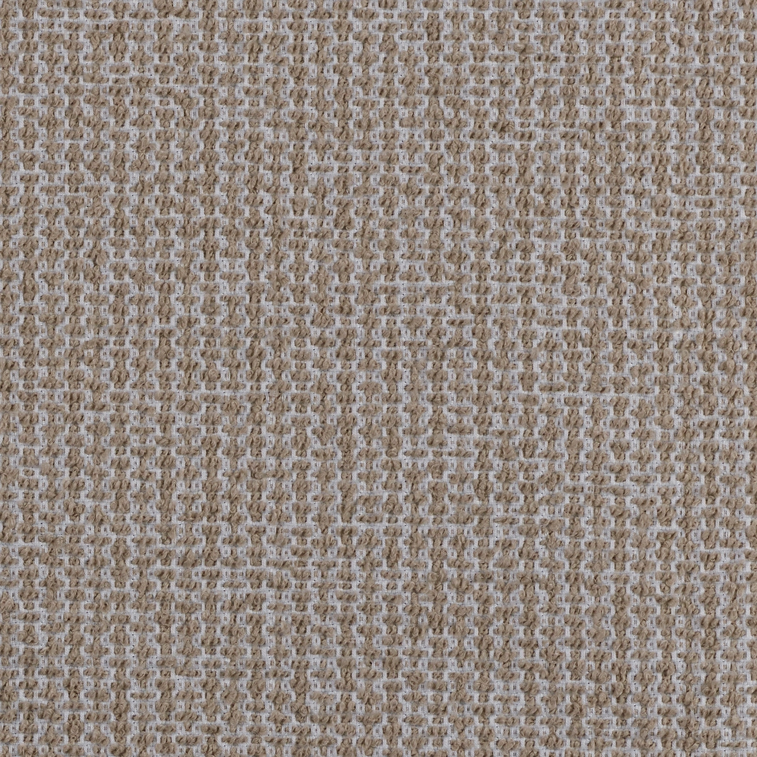 Imperia - Image 5