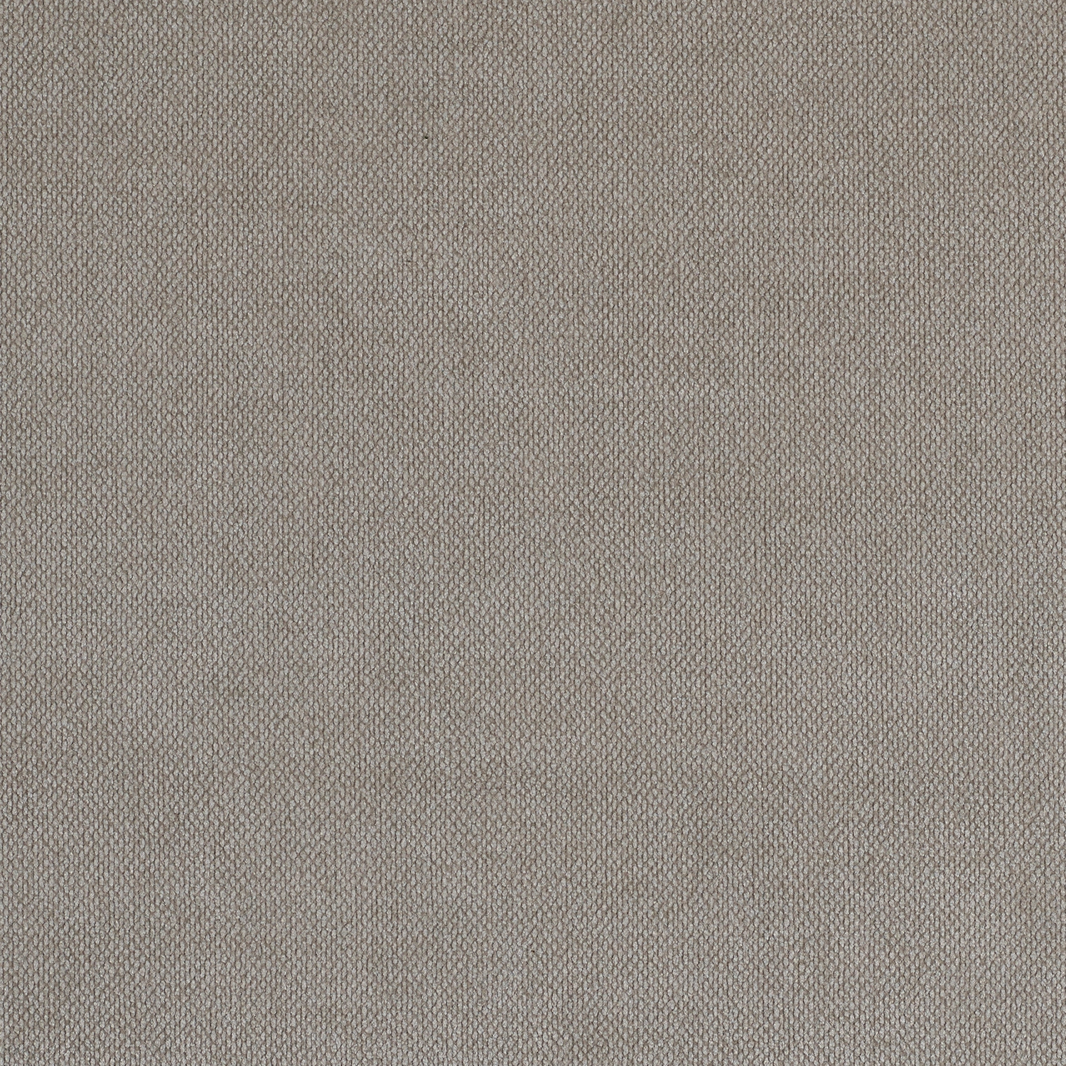 Crevel - Image 5
