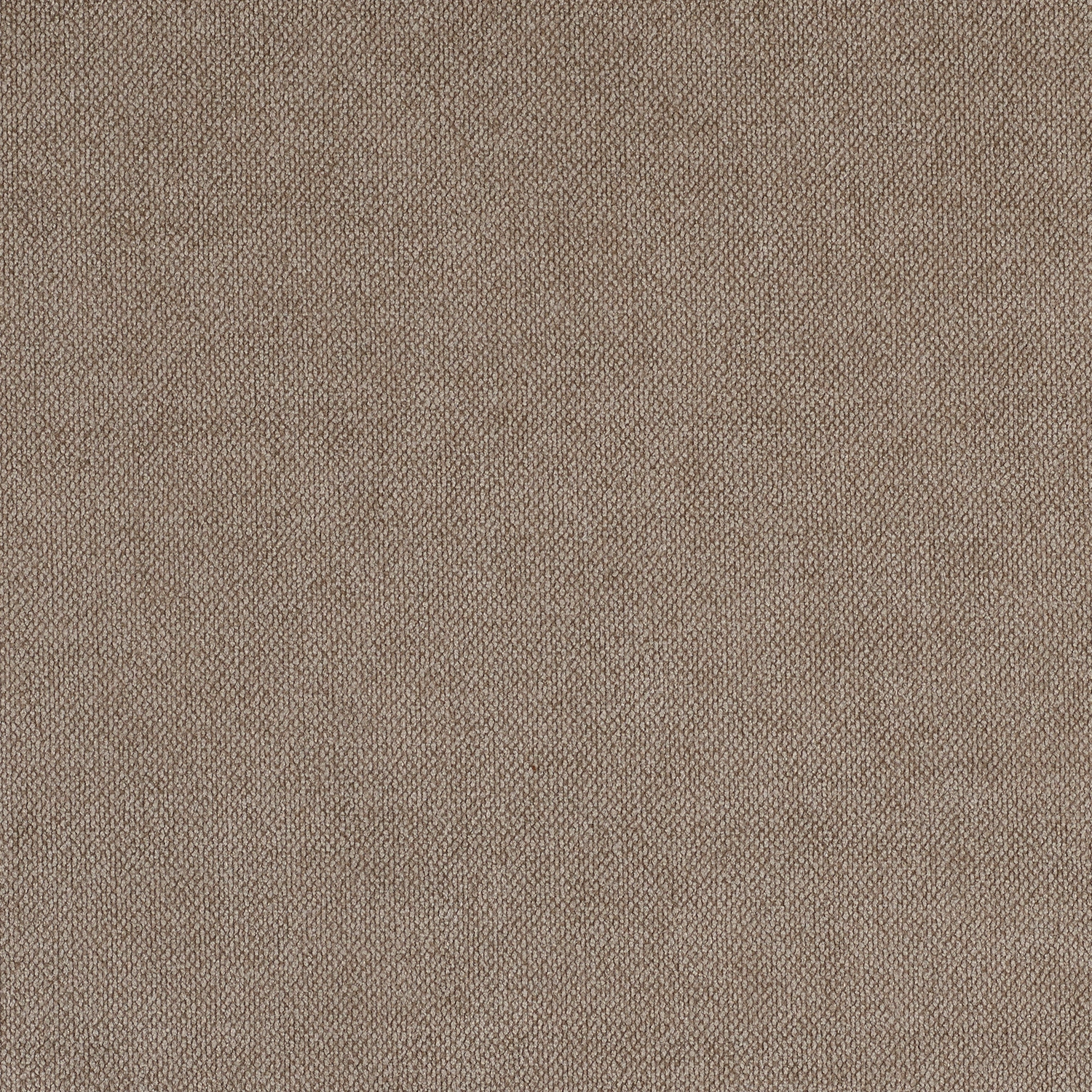 Crevel - Image 6