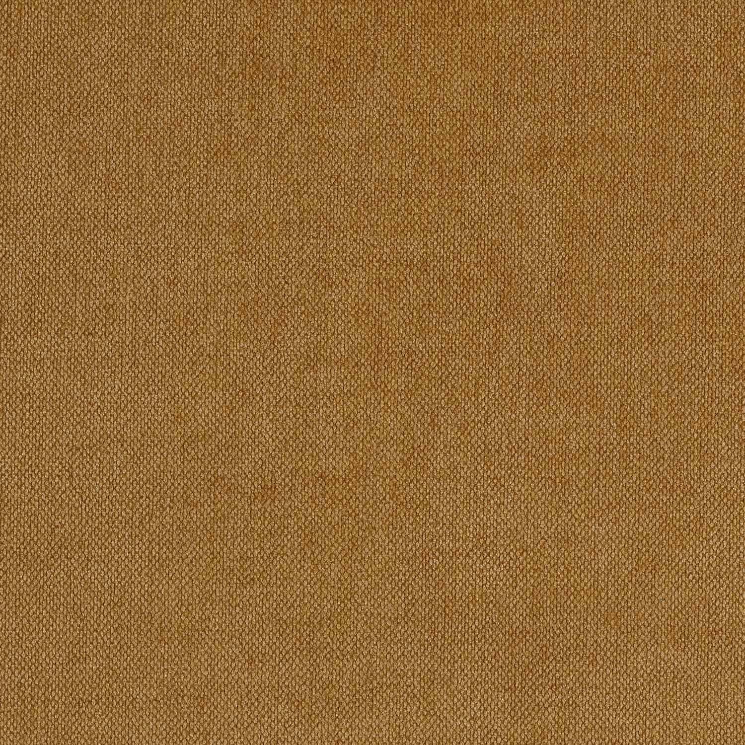 Crevel - Image 7
