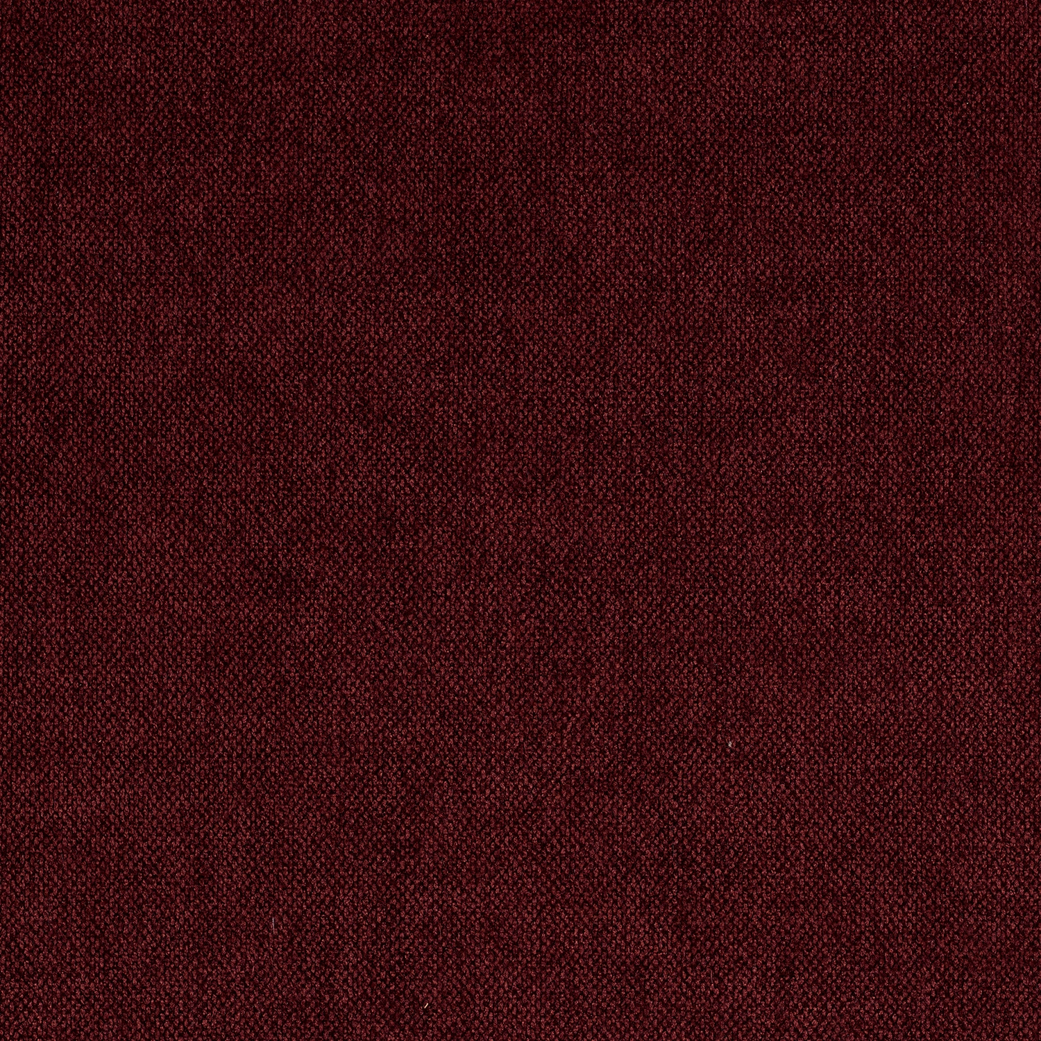 Crevel - Image 10