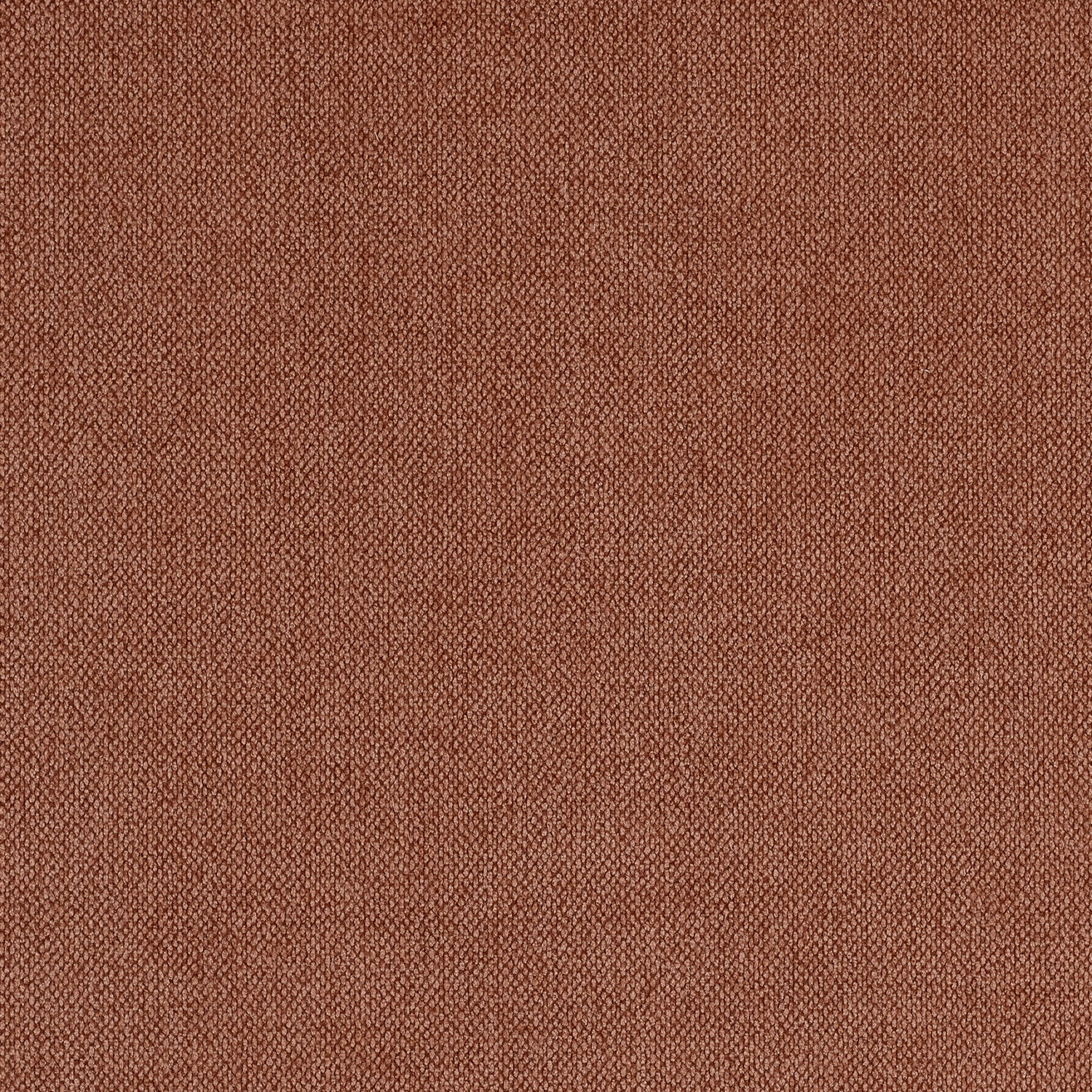 Crevel - Image 11