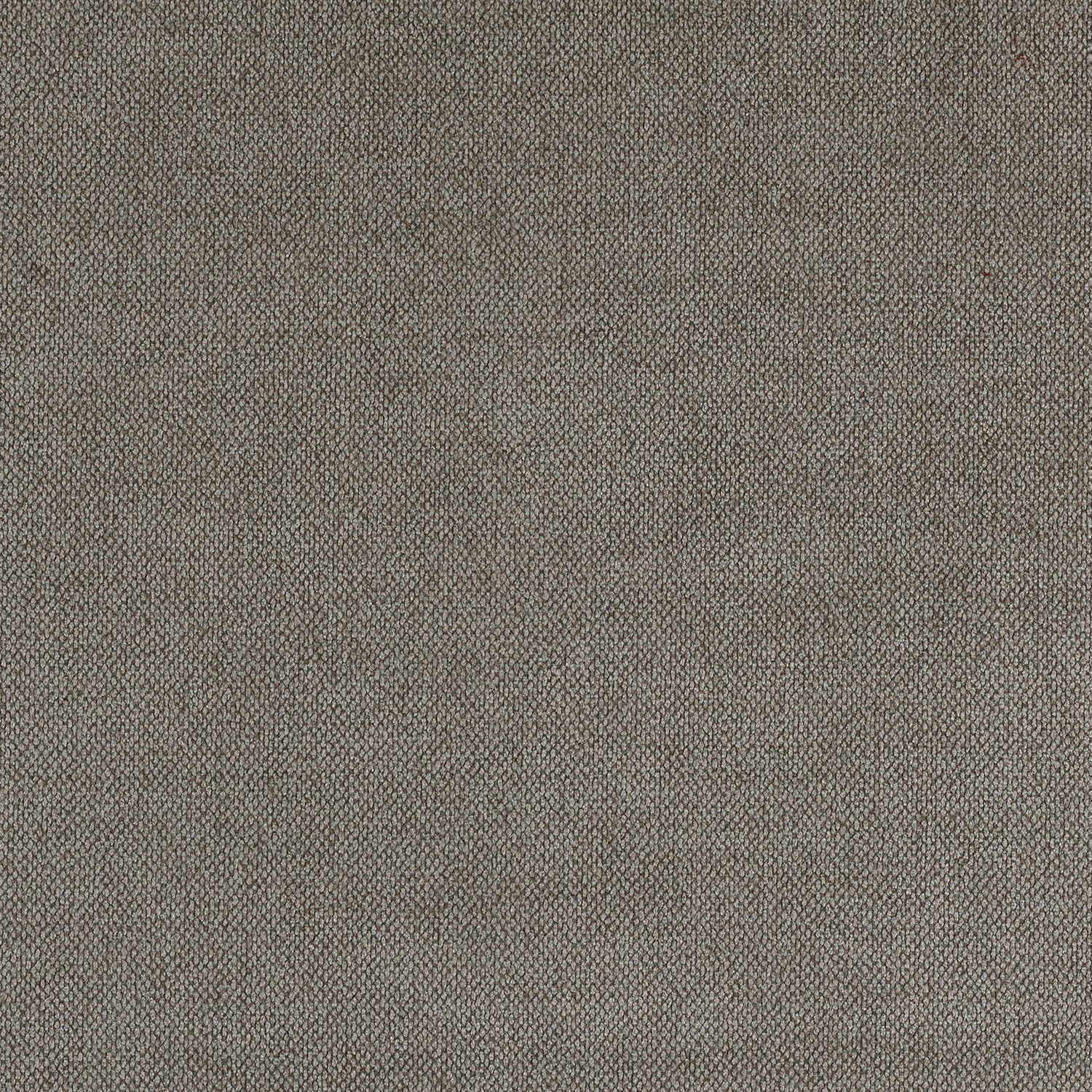 Crevel - Image 13