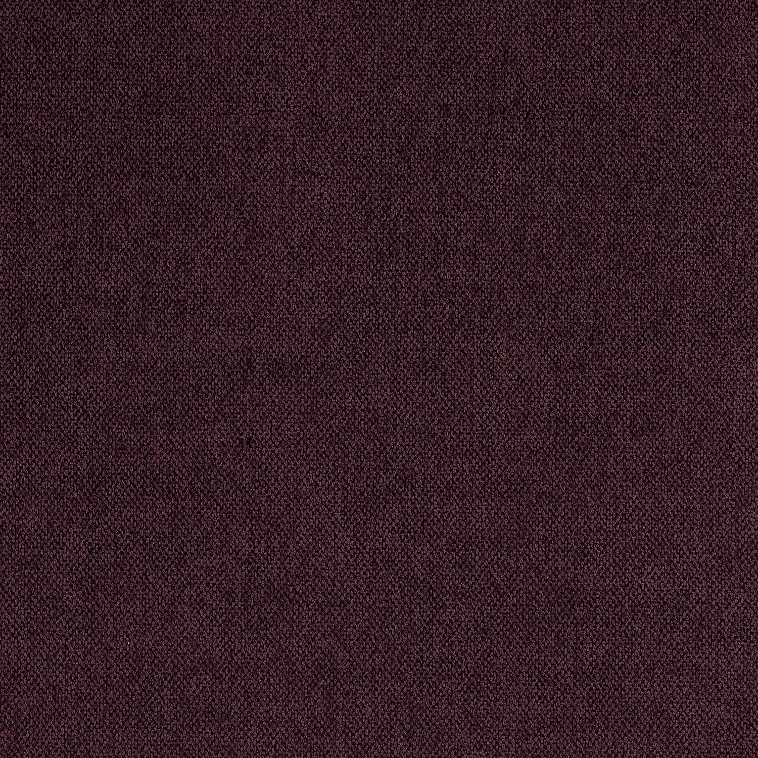 Crevel - Image 15