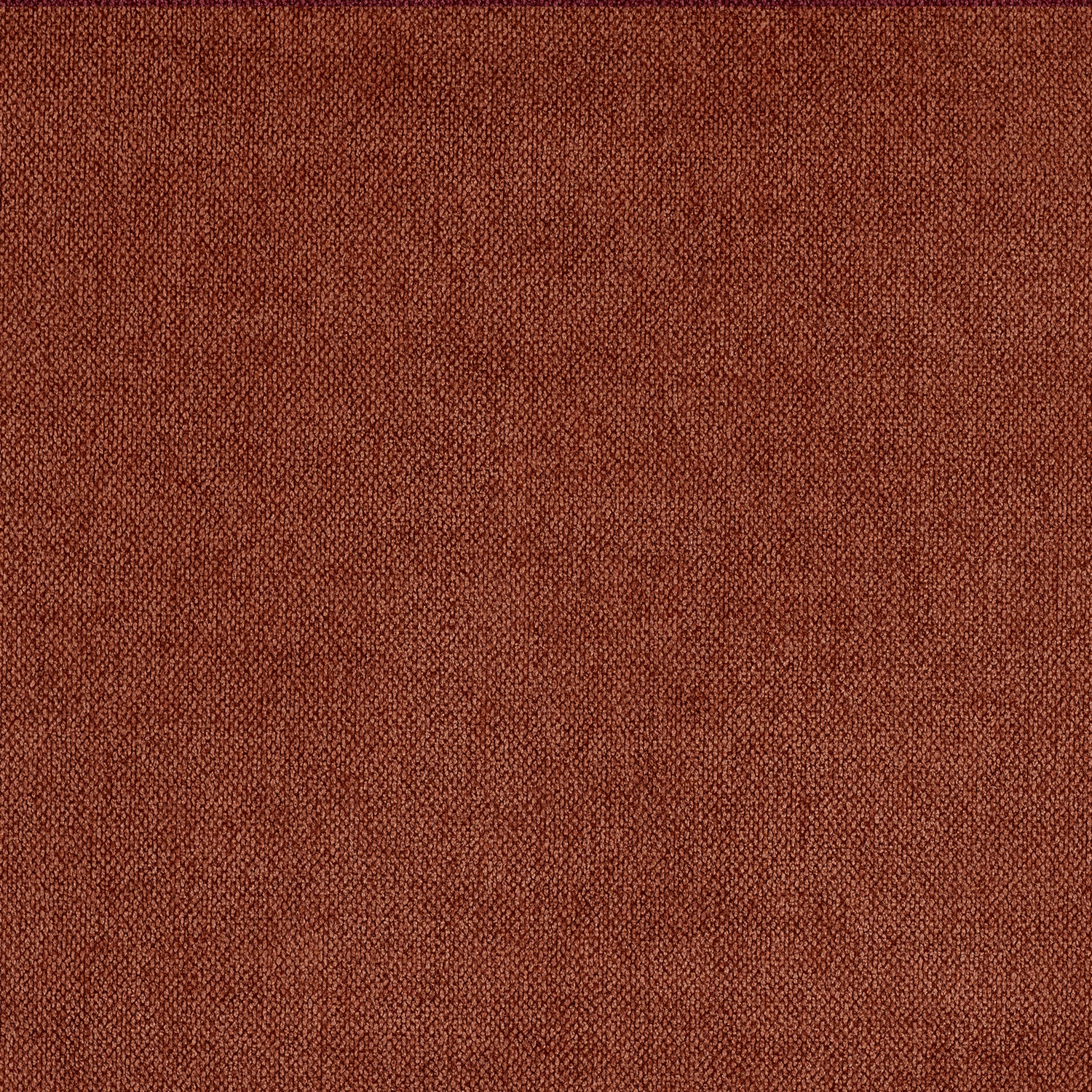 Crevel - Image 19