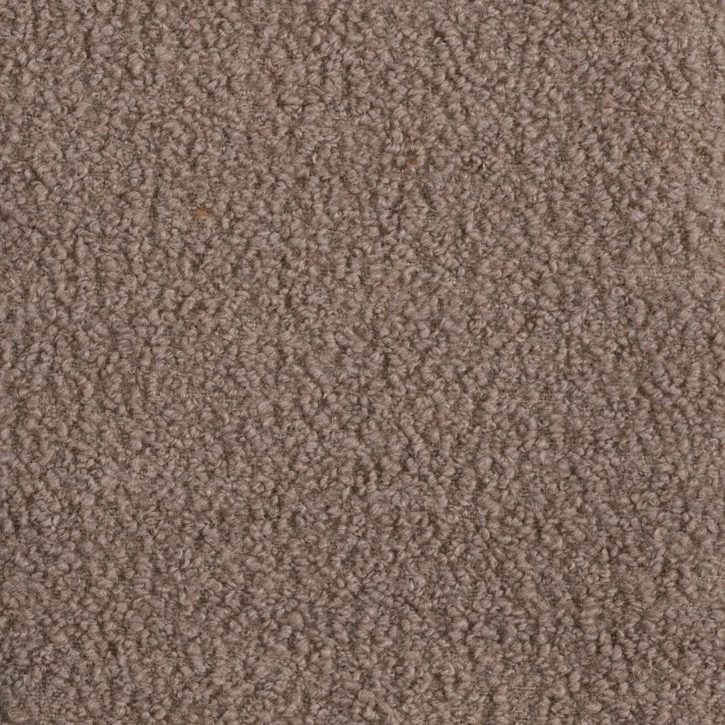 Alpaca