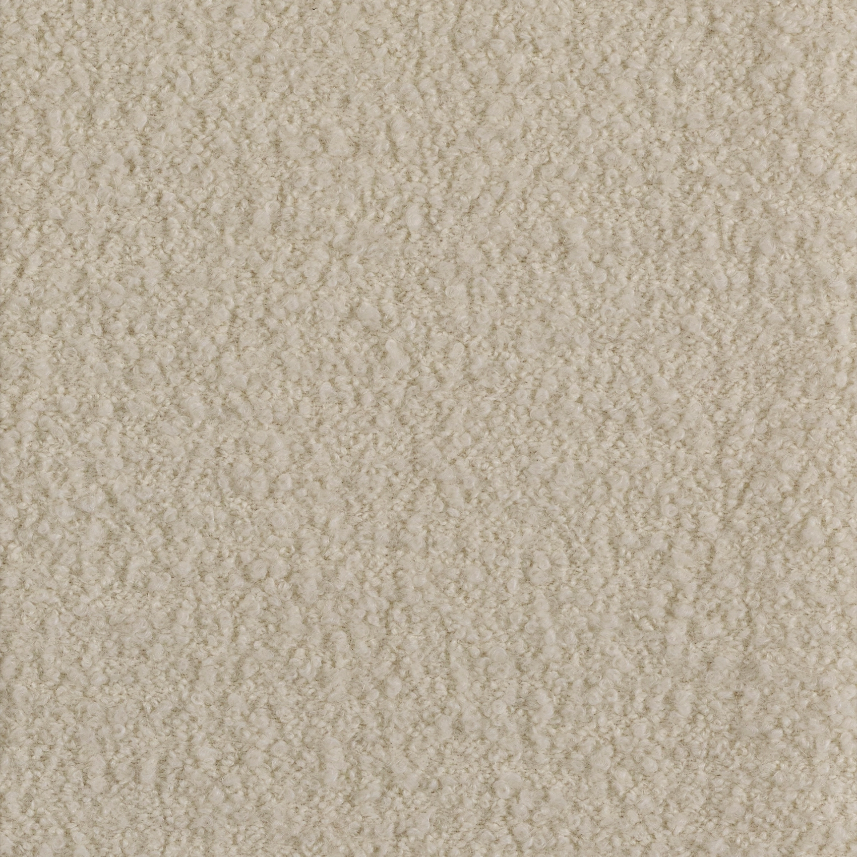 Alpaca - Image 5
