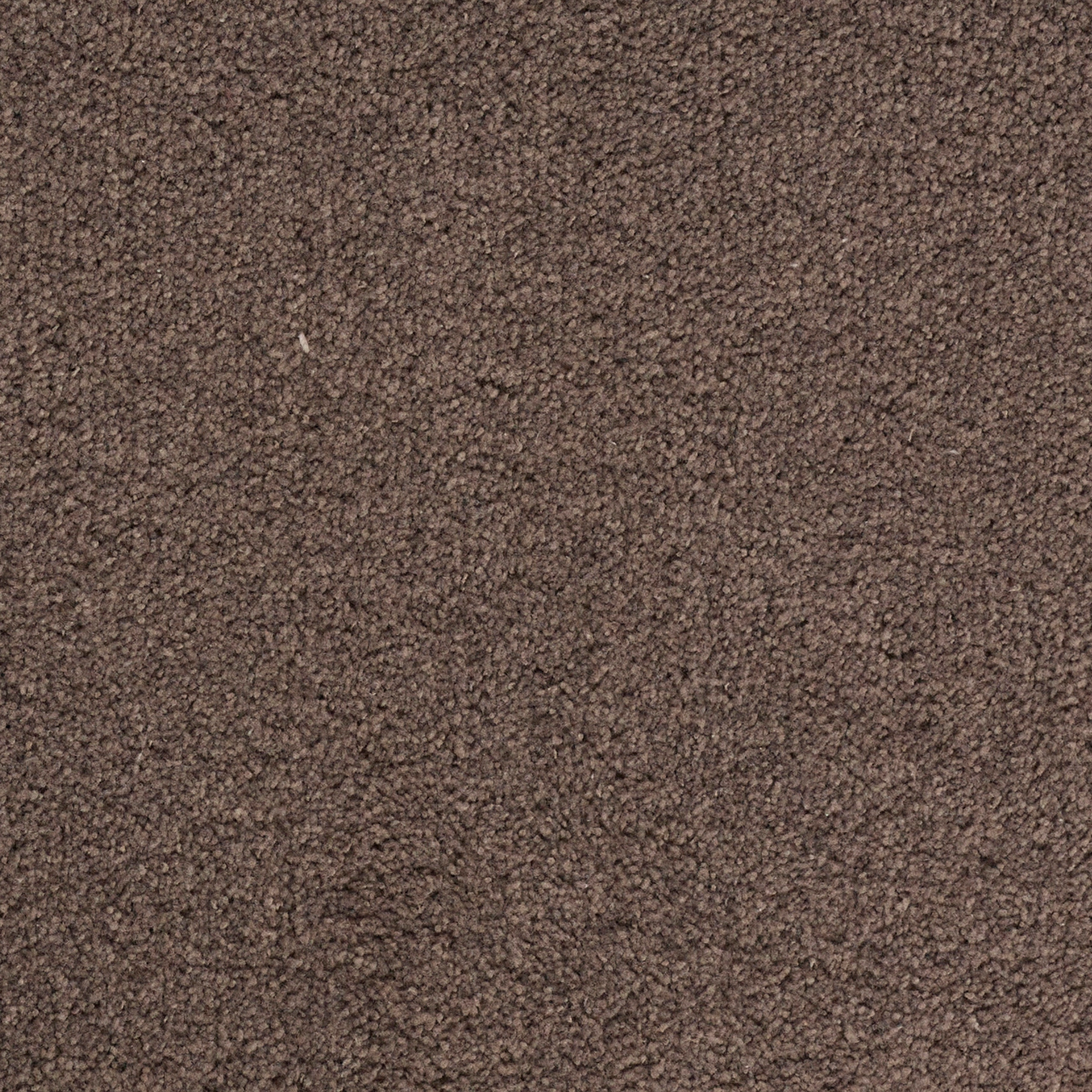 Candy - Image 6