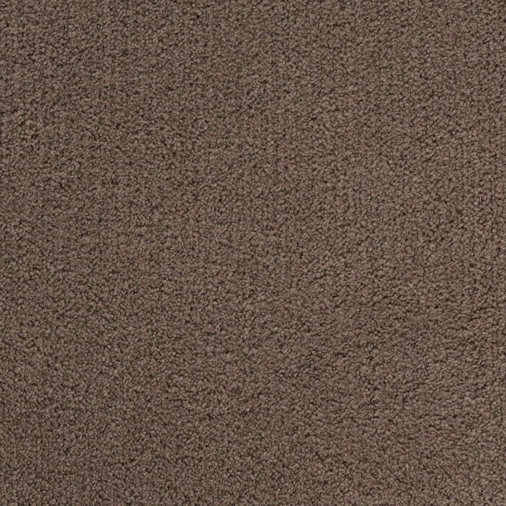 Candy - Image 7