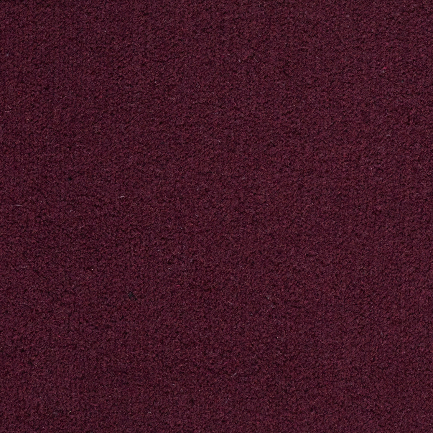 Candy - Image 8