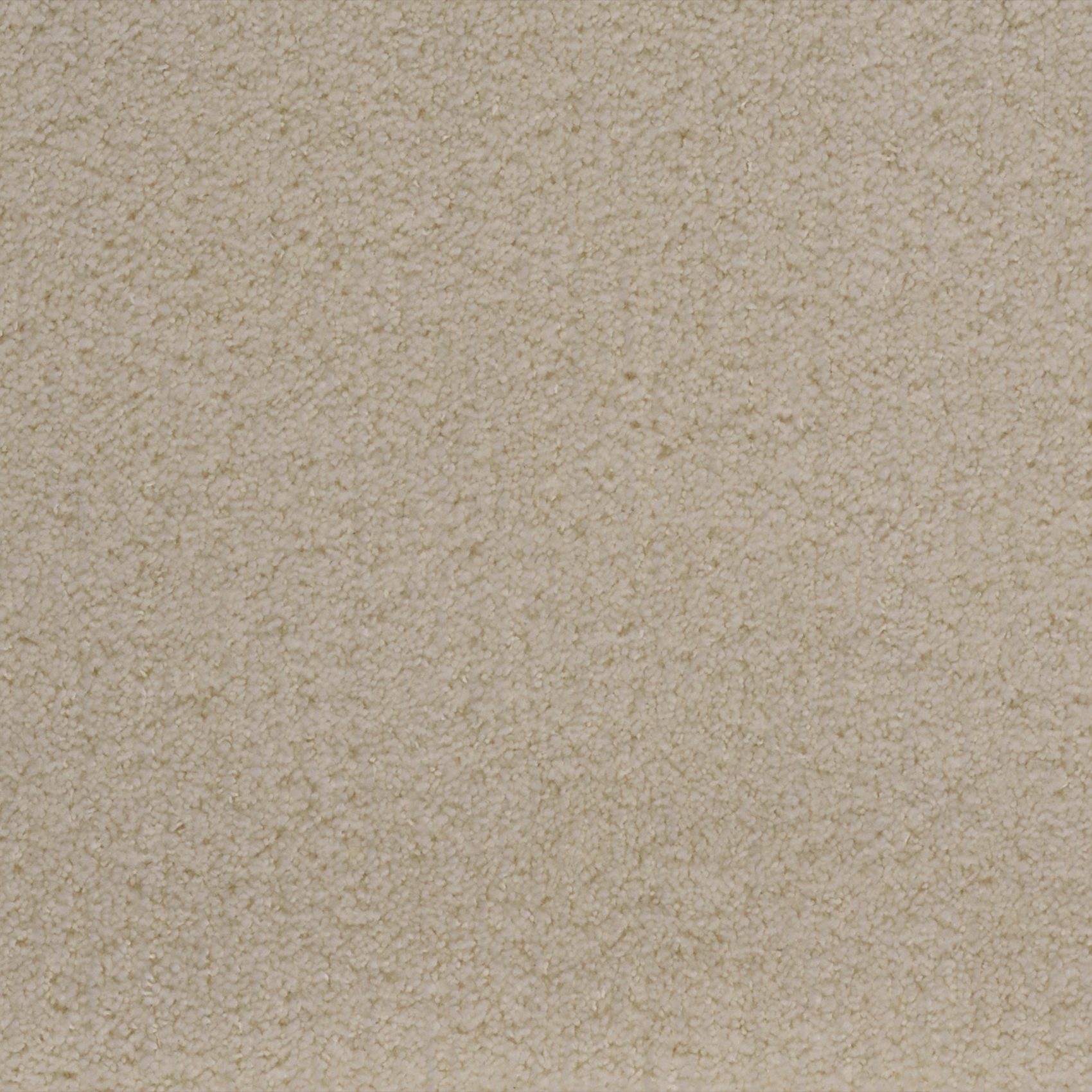 Candy - Image 9