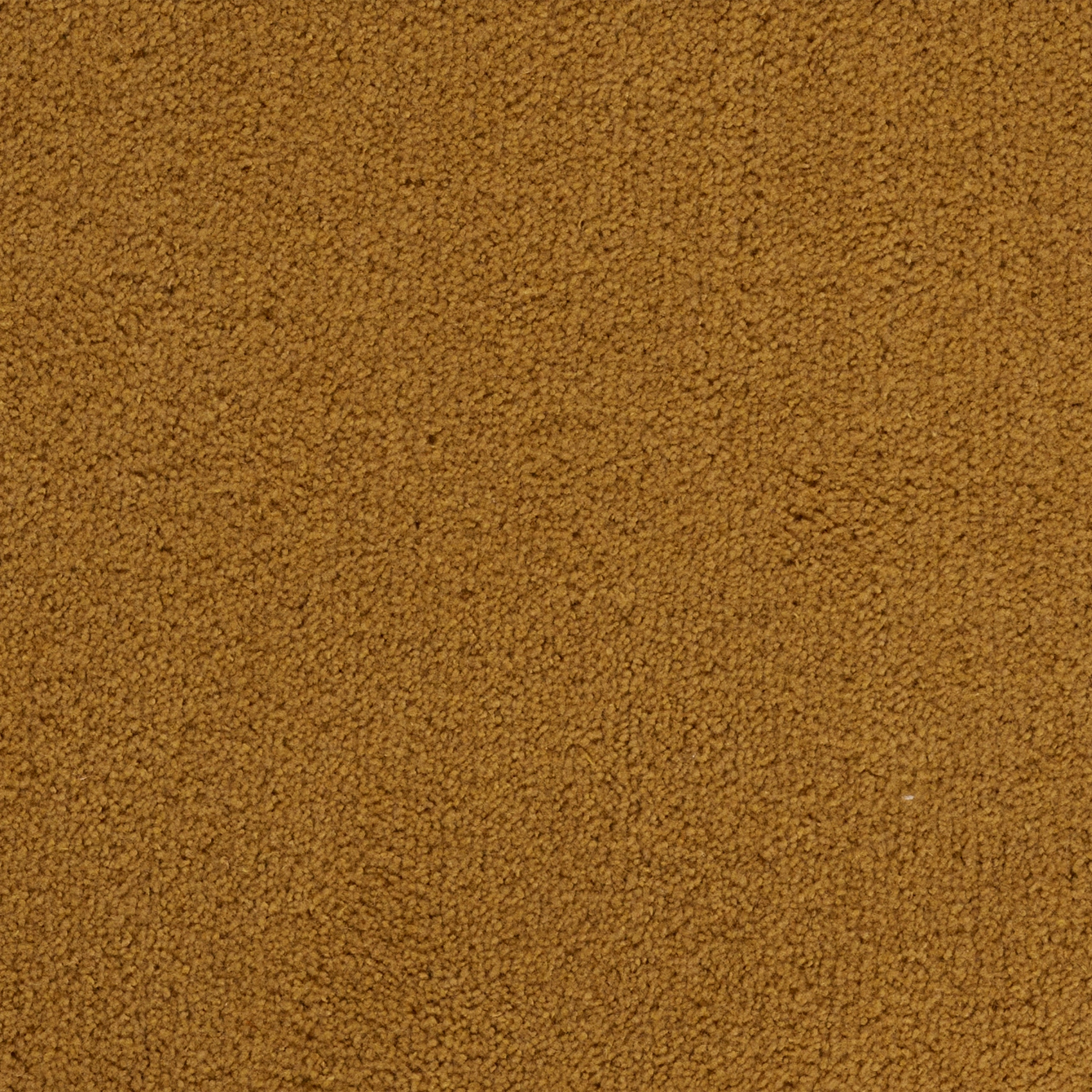 Candy - Image 10