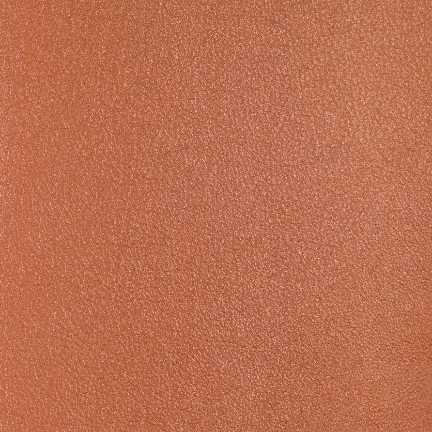 Pure - Image 2