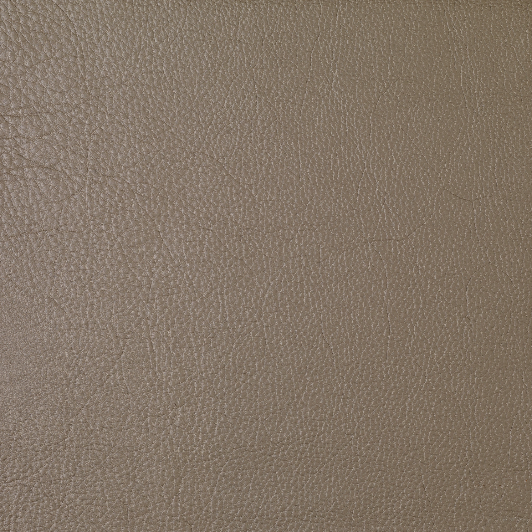 Pure - Image 3