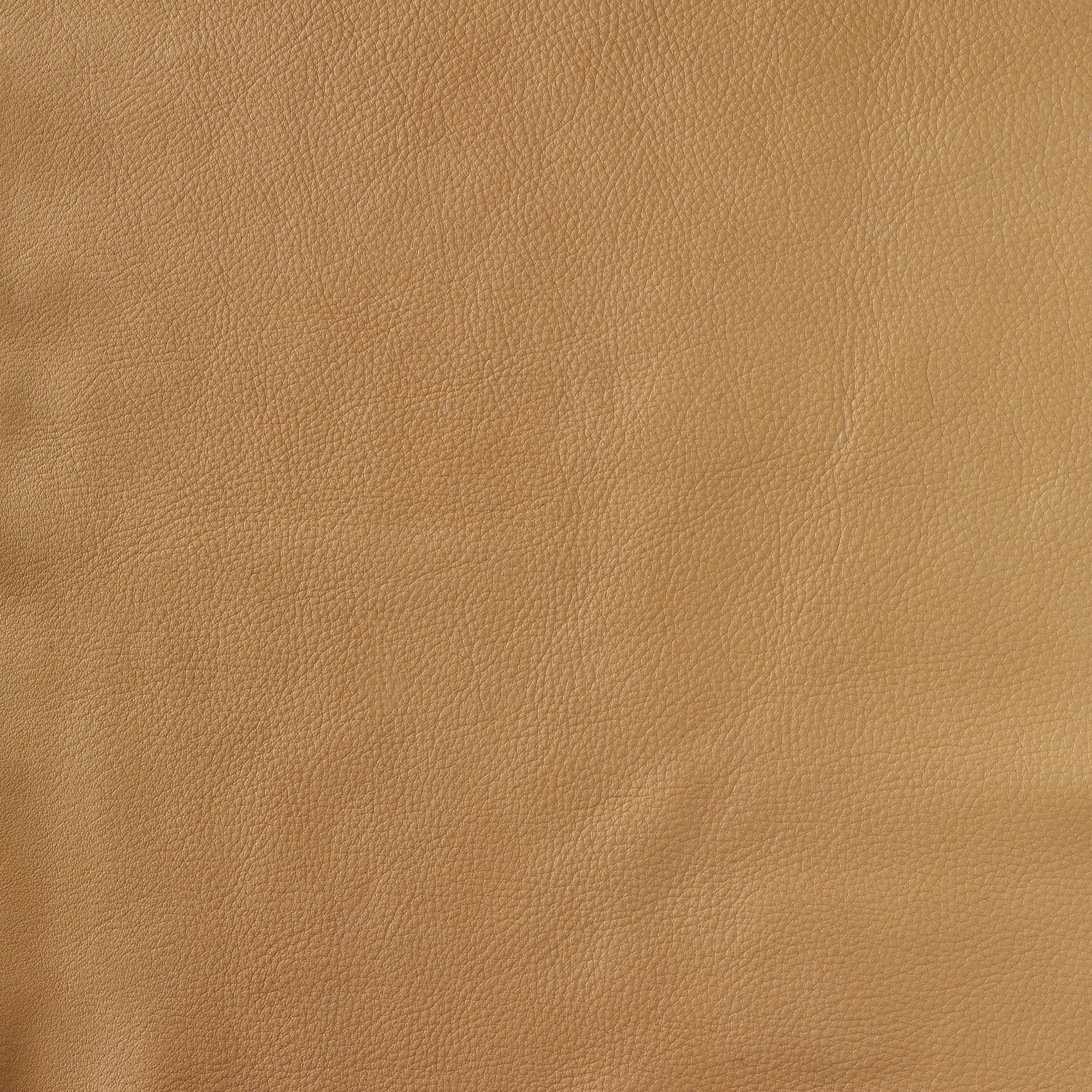 Pure - Image 5