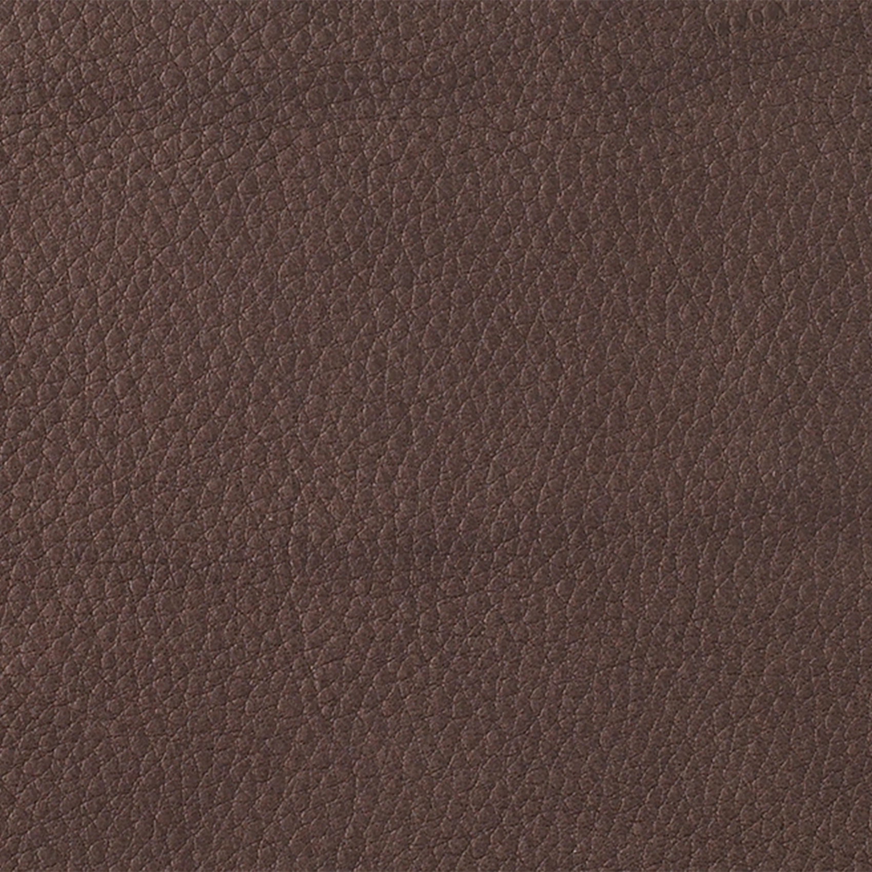 Mimosa - Image 2